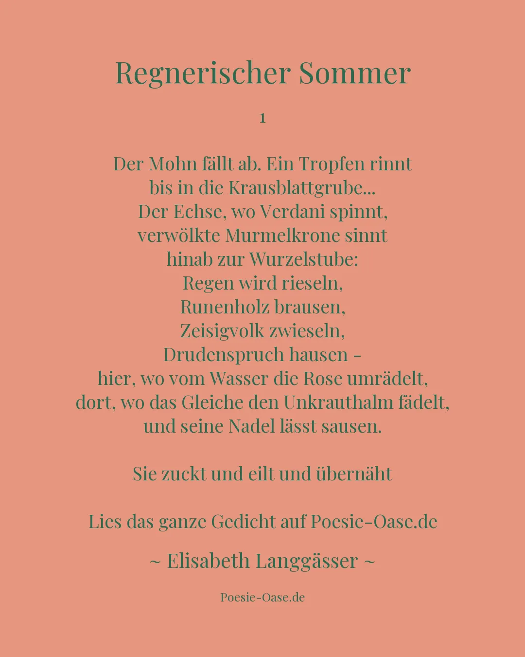 Illustration zu Regnerischer Sommer