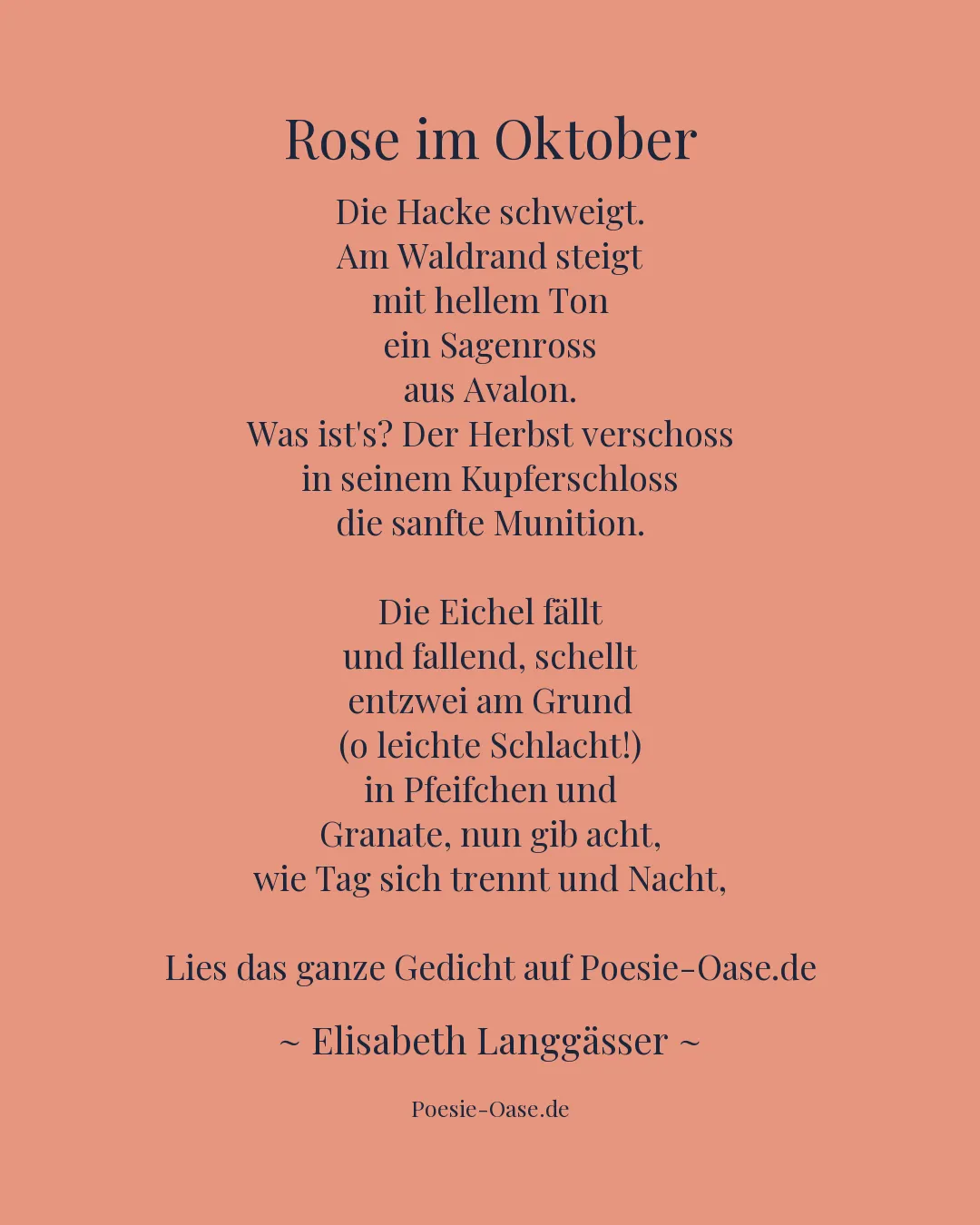 Illustration zu Rose im Oktober