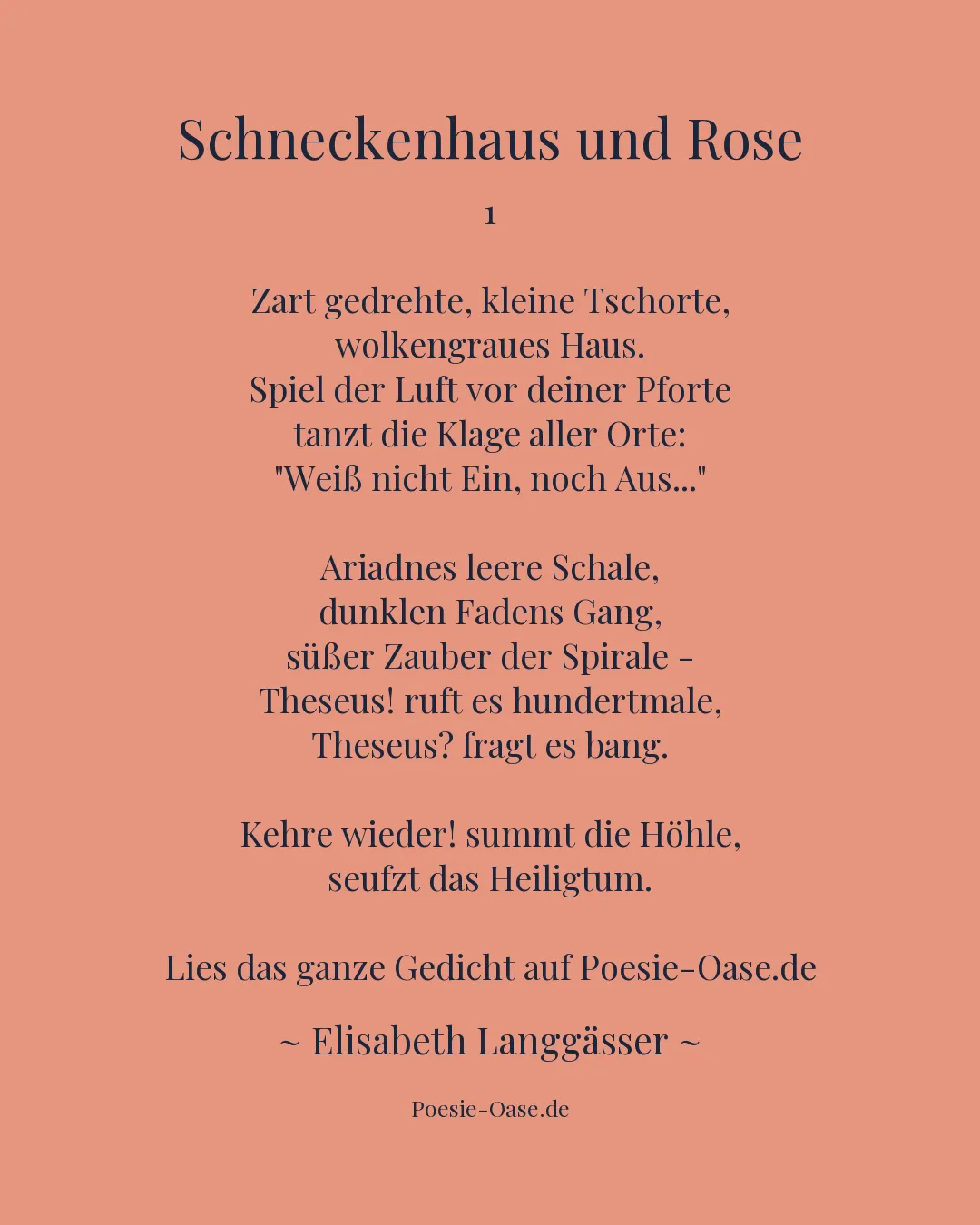 Illustration zu Schneckenhaus und Rose