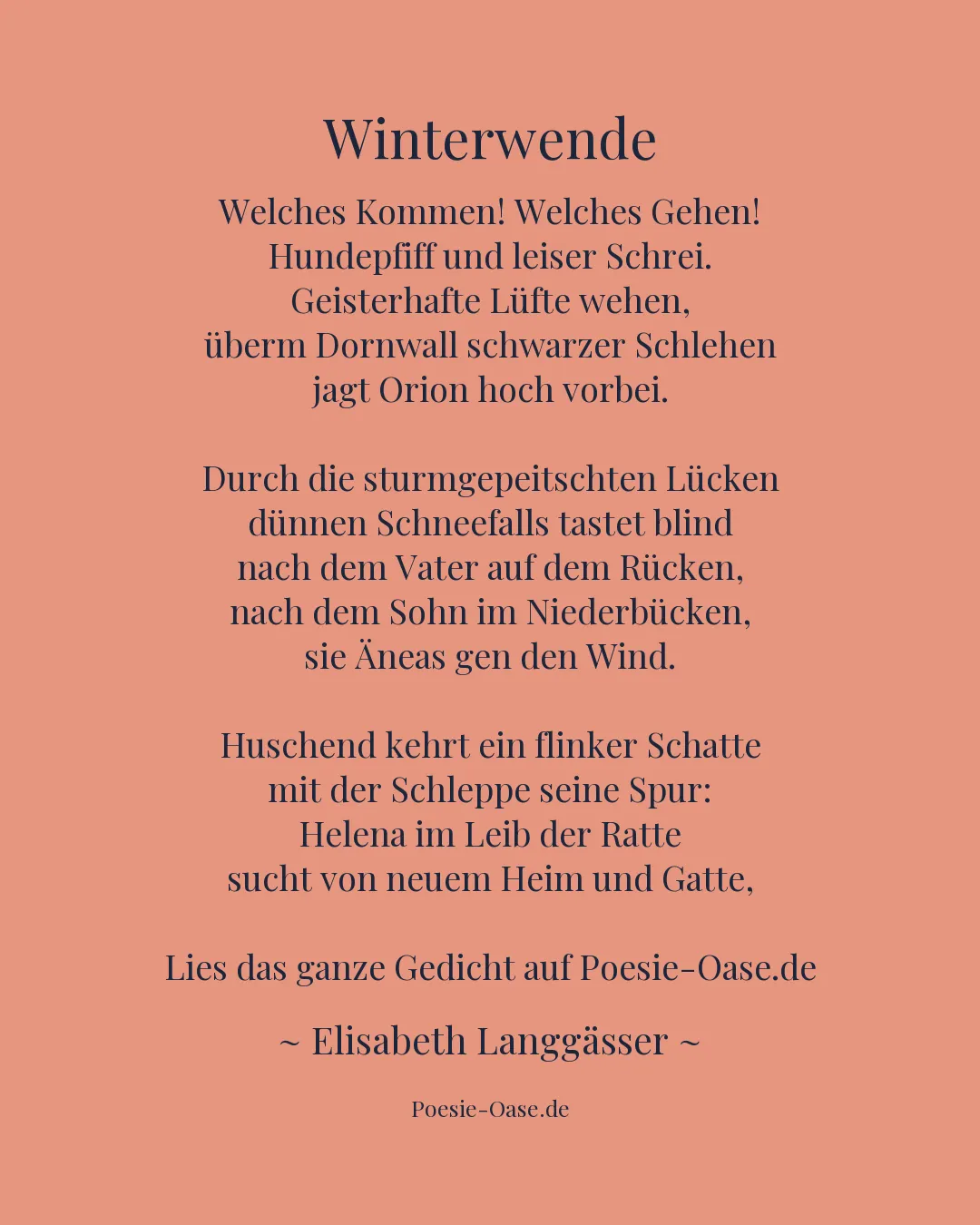 Illustration zu Winterwende