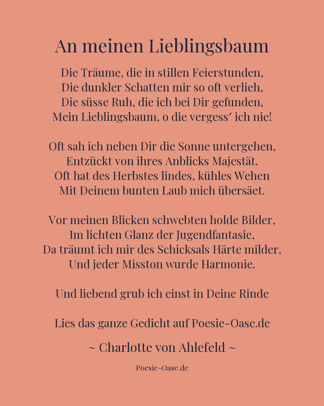 Illustration zu An meinen Lieblingsbaum