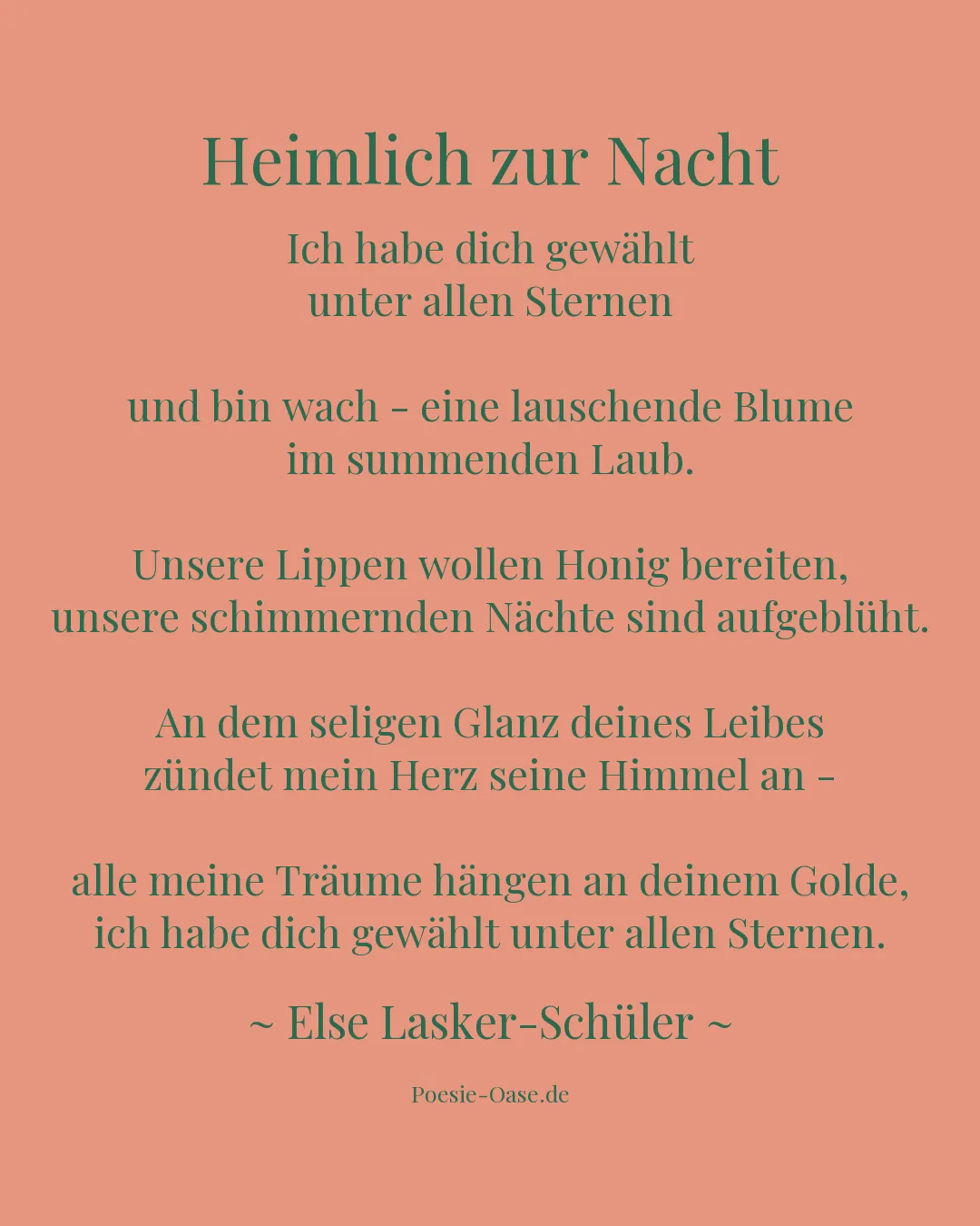 Illustration zu Heimlich zur Nacht