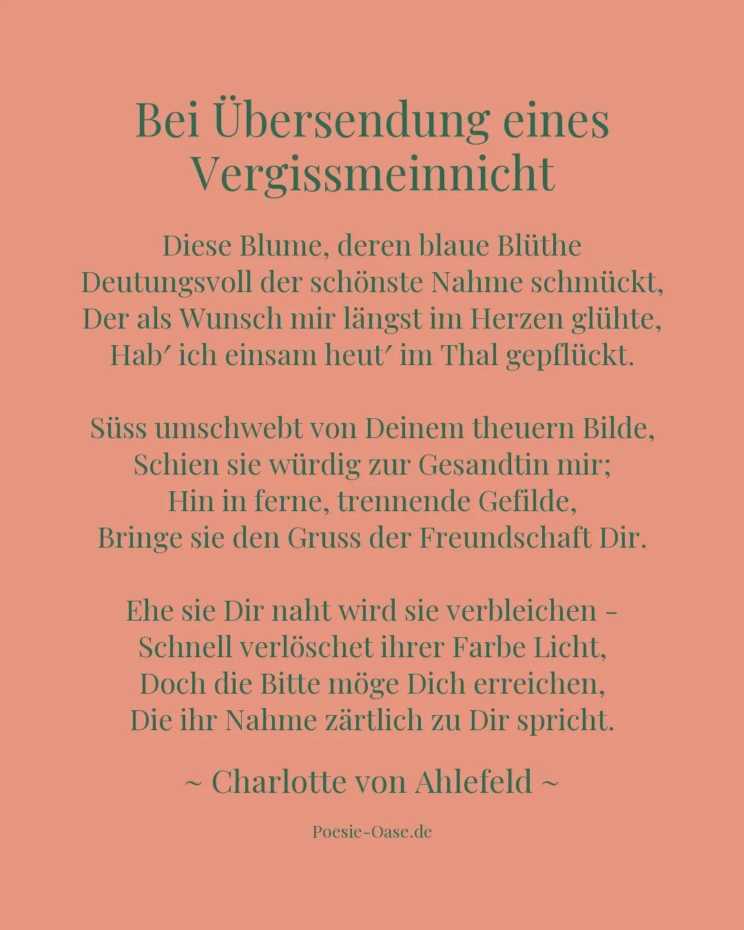 Illustration zu Bei Übersendung eines Vergissmeinnicht