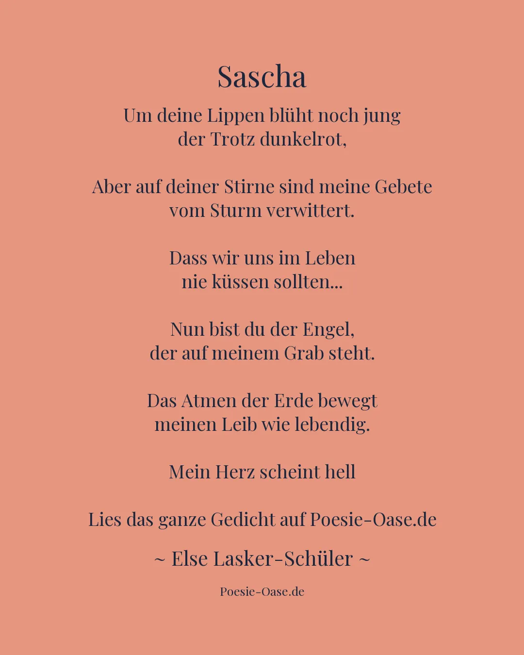 Illustration zu Sascha