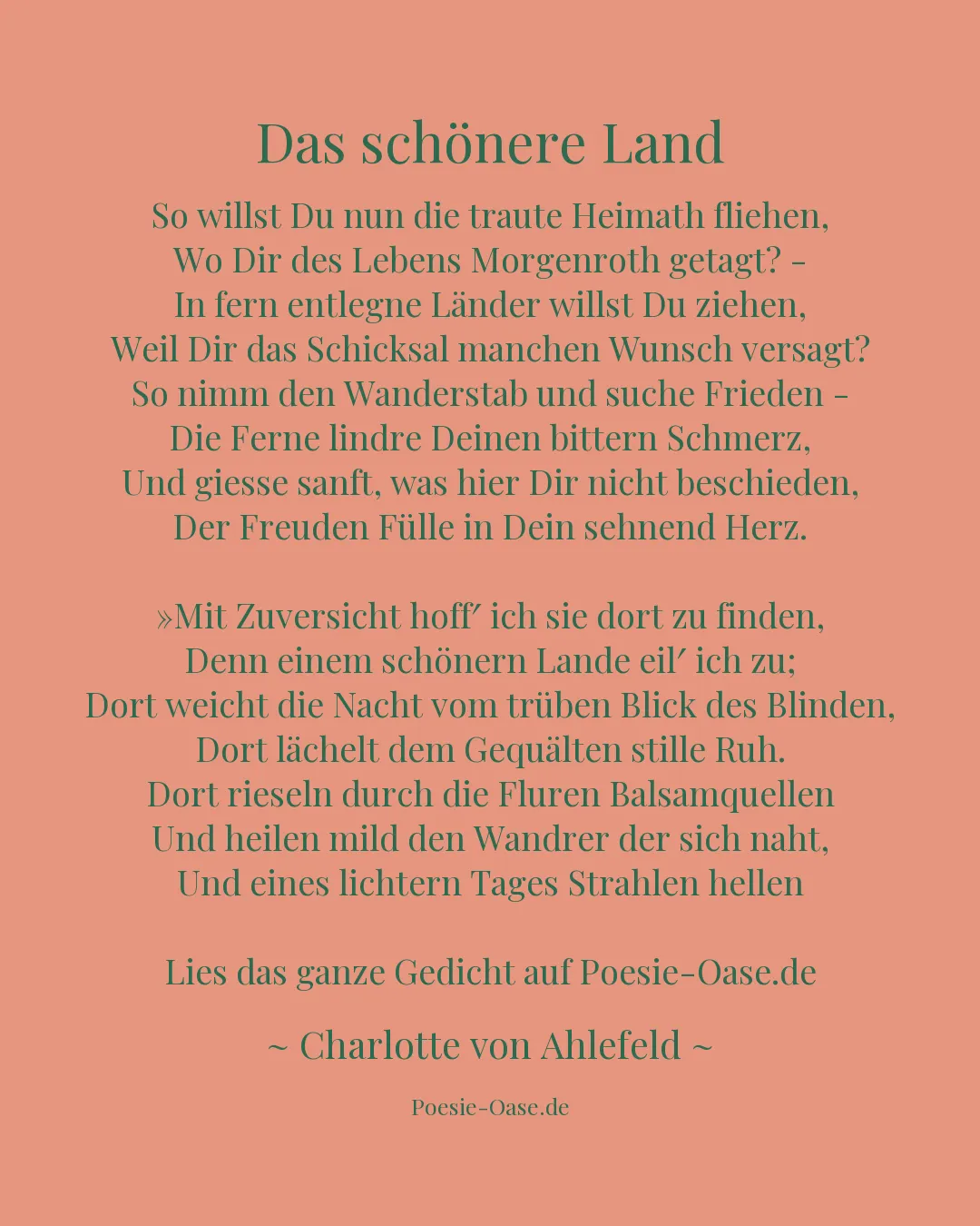 Illustration zu Das schönere Land