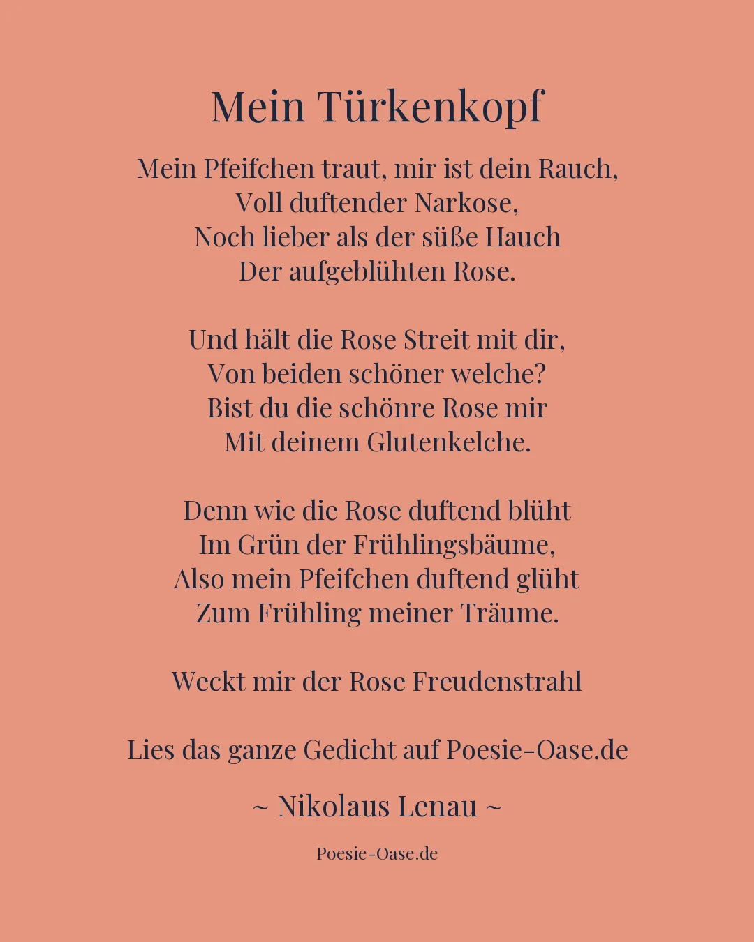 Illustration zu Mein Türkenkopf