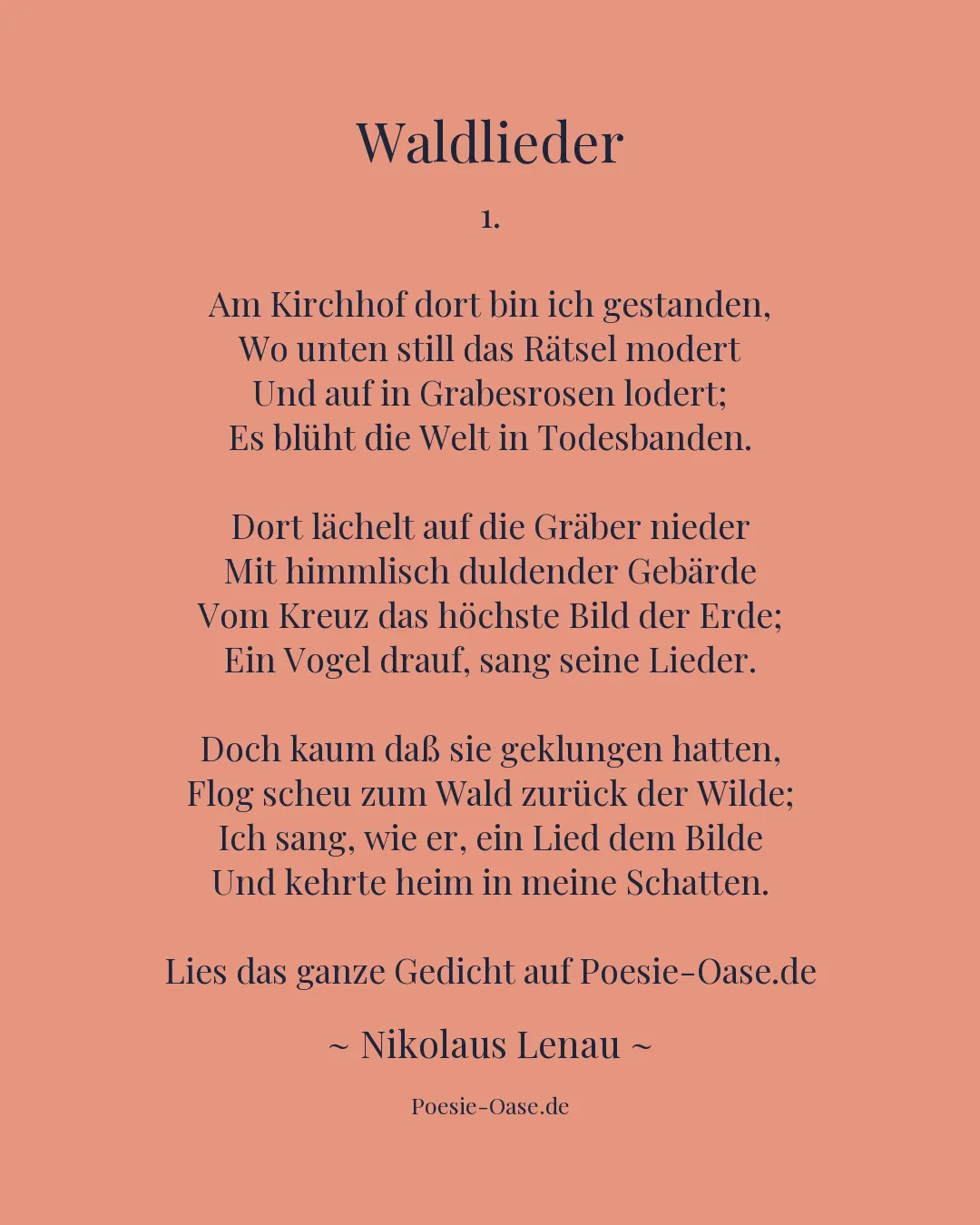 Illustration zu Waldlieder