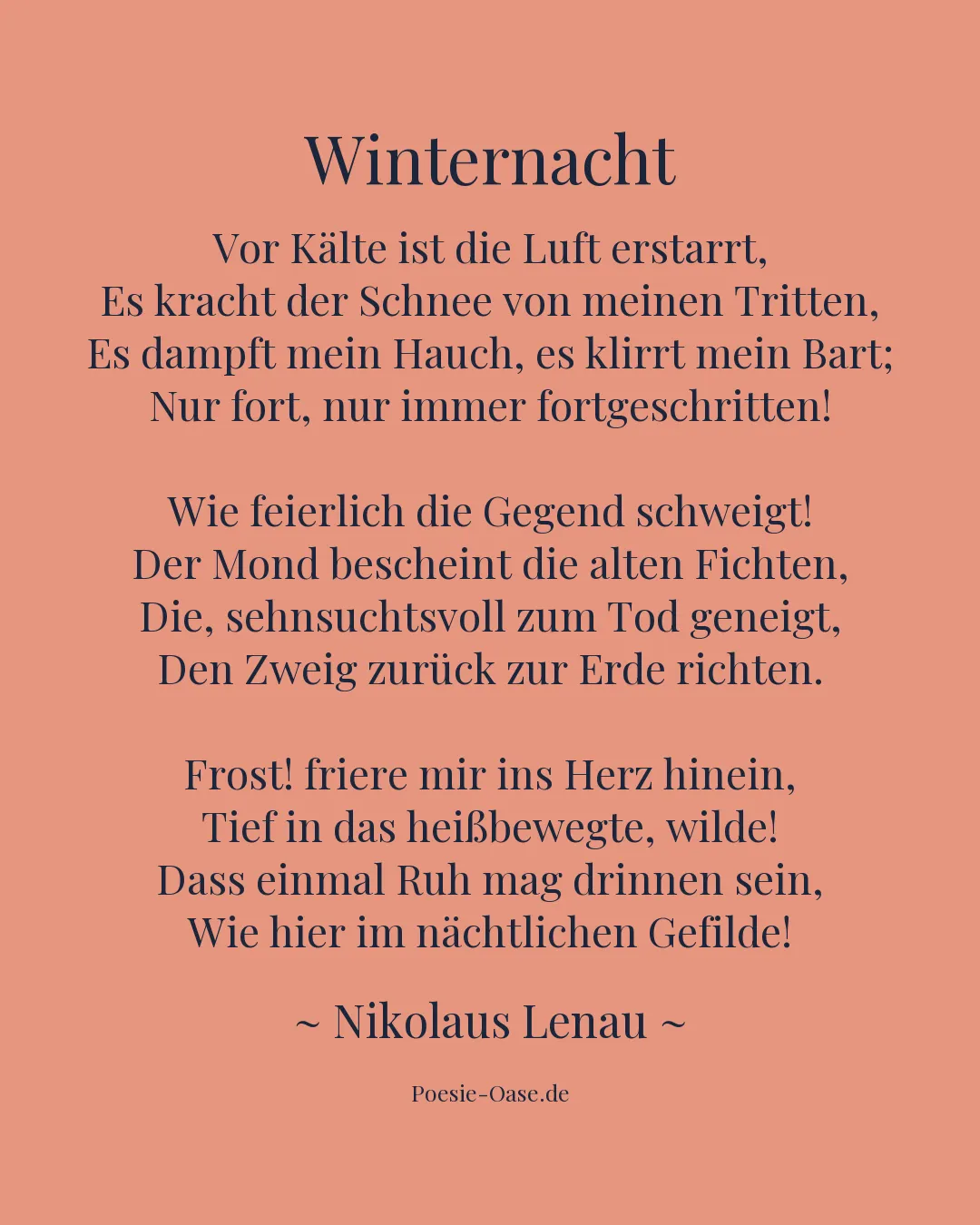Illustration zu Winternacht