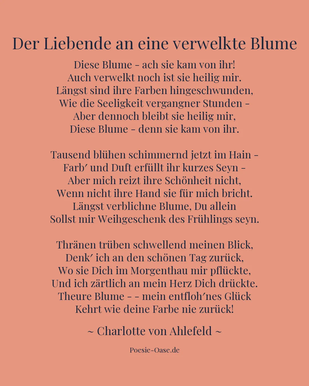 Illustration zu Der Liebende an eine verwelkte Blume