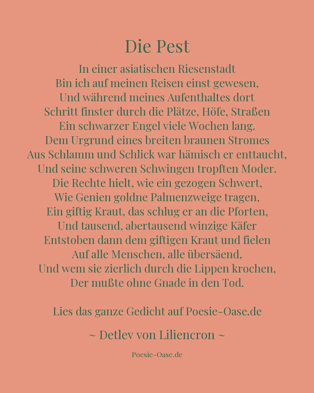 Illustration zu Die Pest