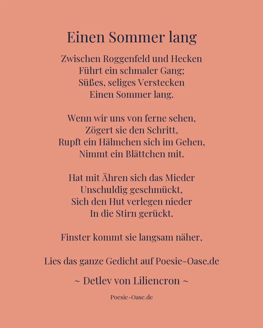 Illustration zu Einen Sommer lang