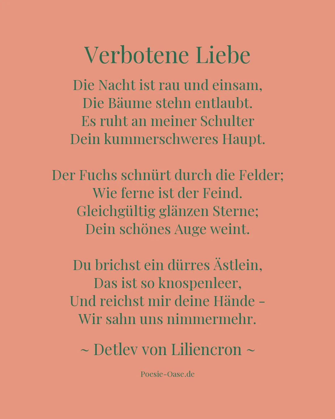 Illustration zu Verbotene Liebe