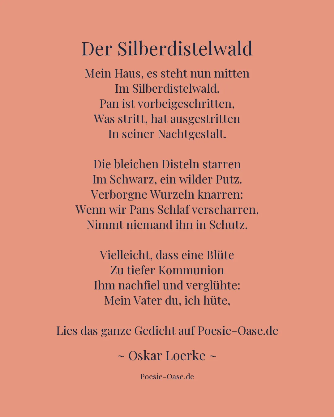 Illustration zu Der Silberdistelwald