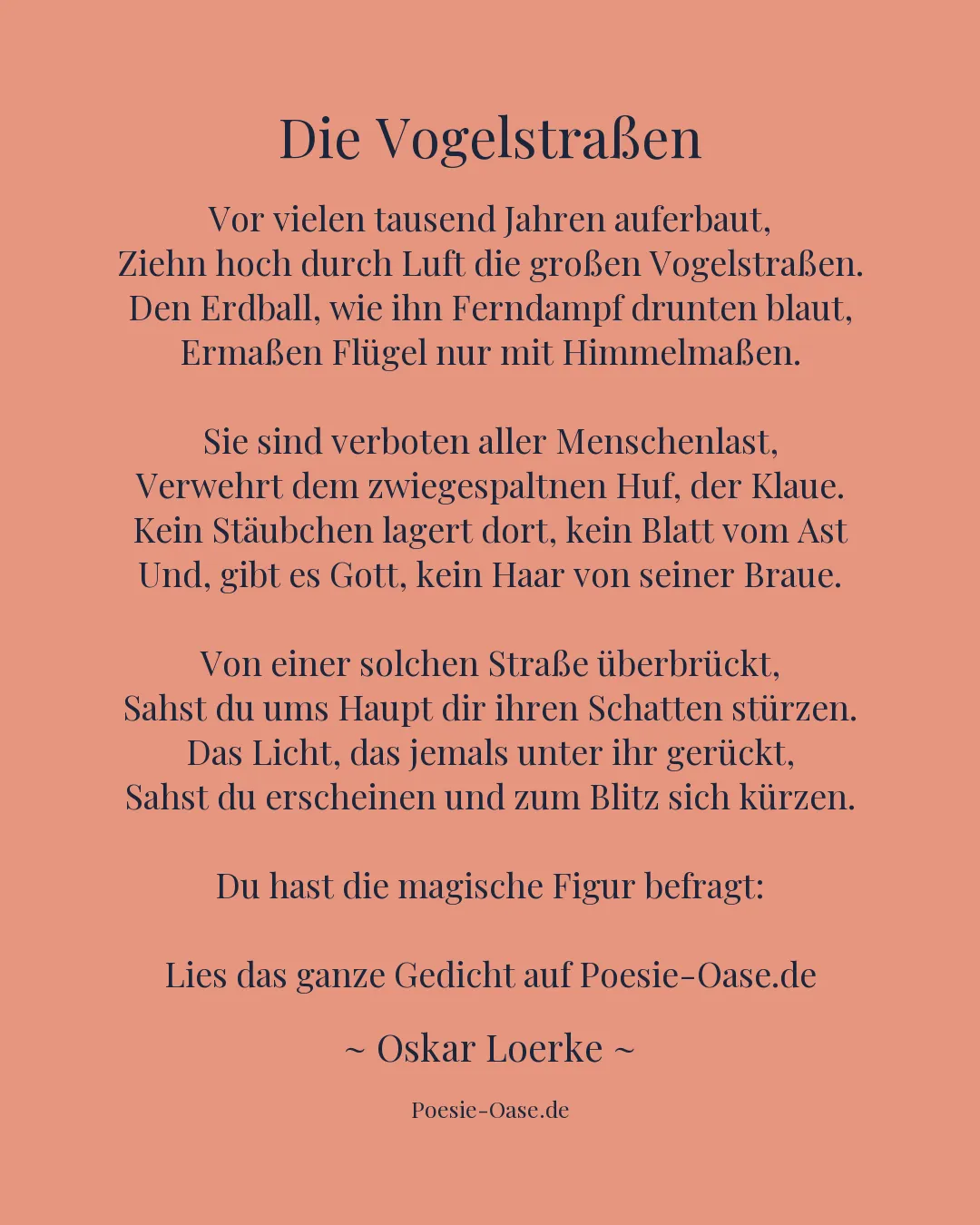 Illustration zu Die Vogelstraßen
