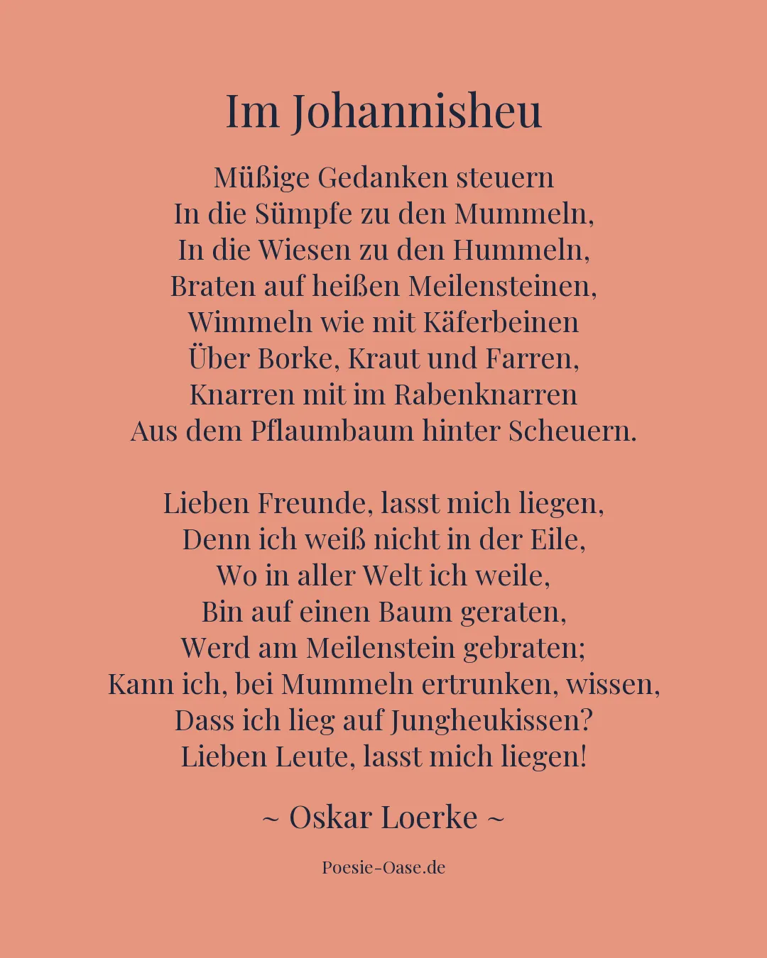 Illustration zu Im Johannisheu