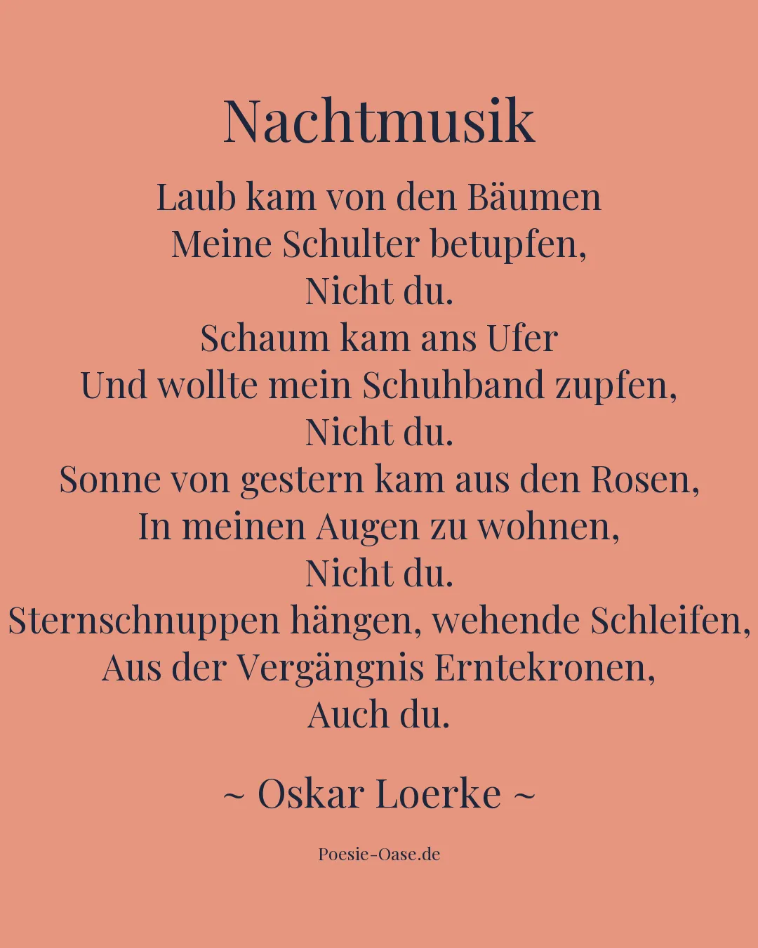 Illustration zu Nachtmusik