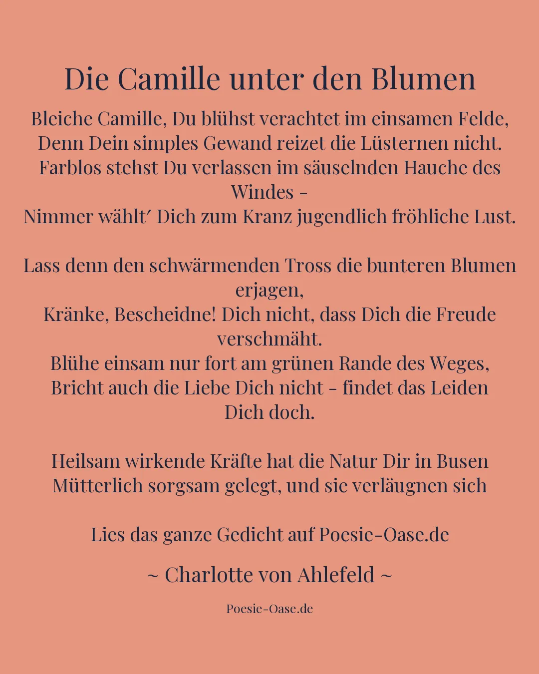 Illustration zu Die Camille unter den Blumen