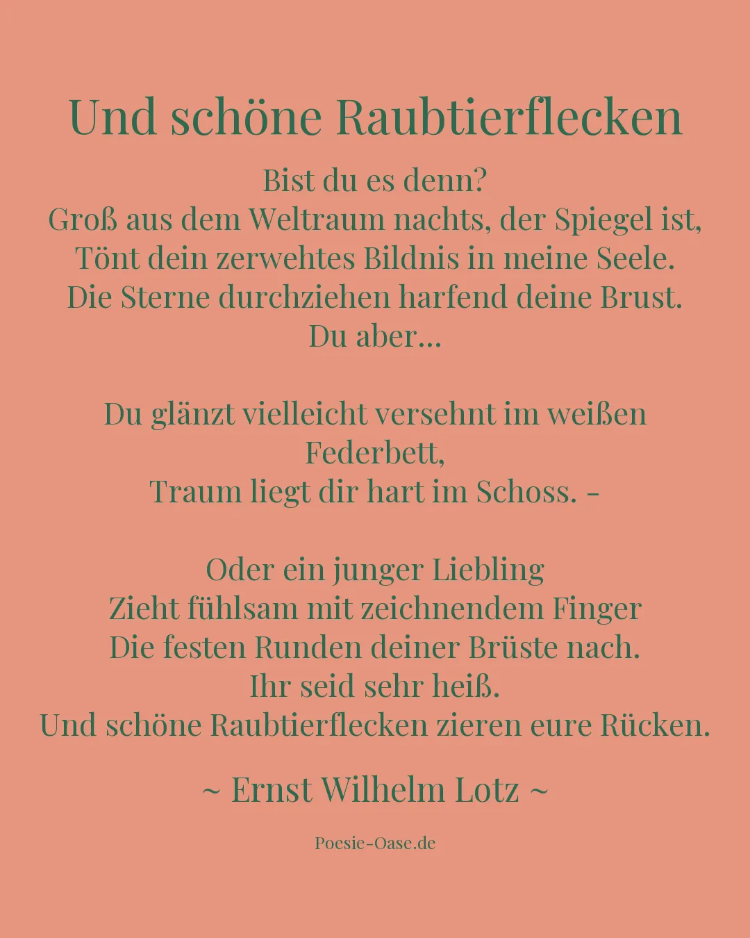 Illustration zu Und schöne Raubtierflecken