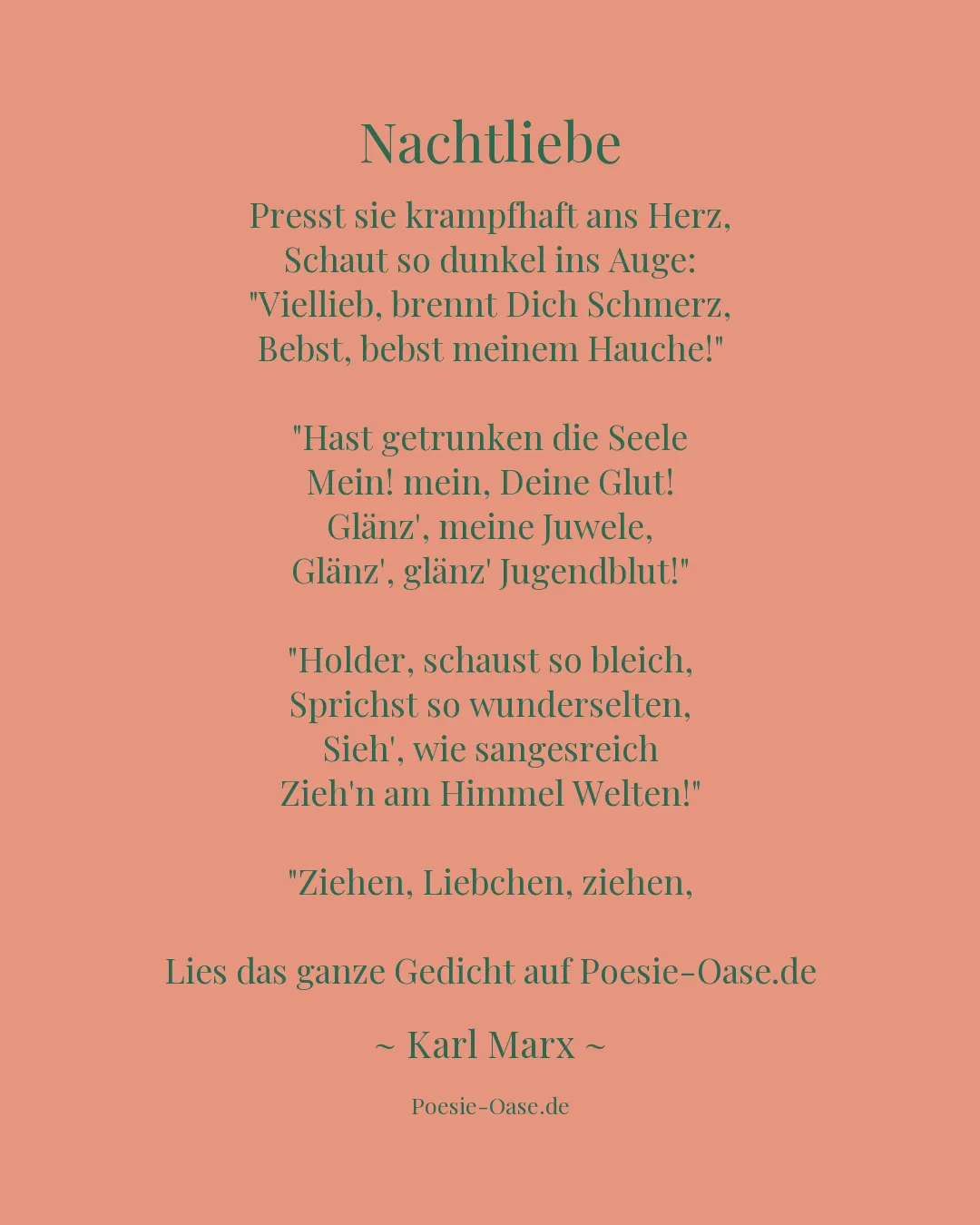Illustration zu Nachtliebe
