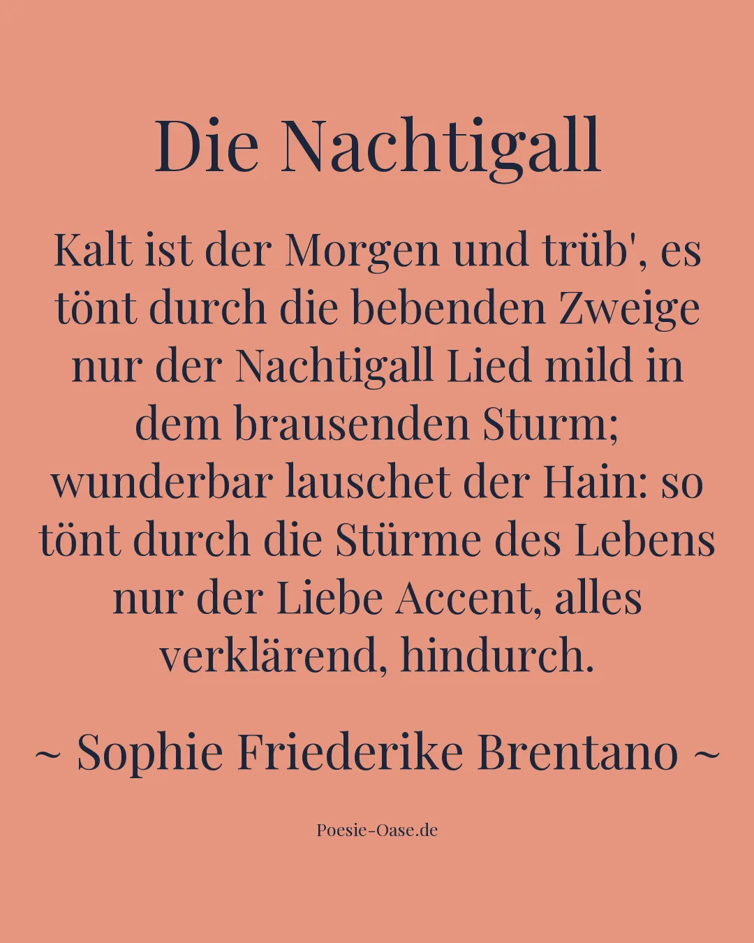 Illustration zu Die Nachtigall