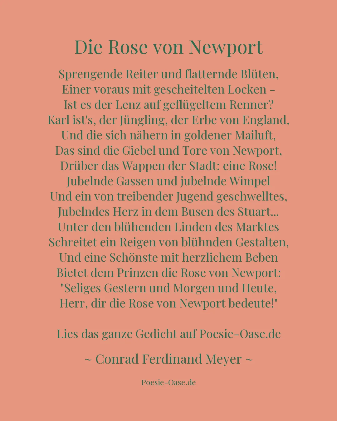 Illustration zu Die Rose von Newport