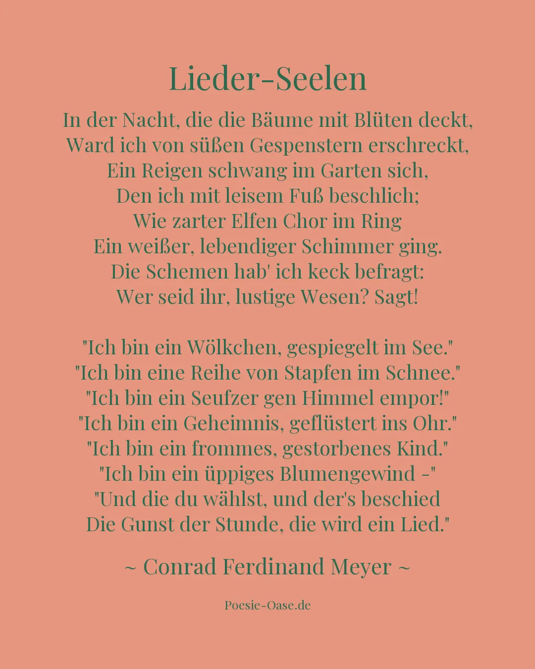 Illustration zu Lieder-Seelen