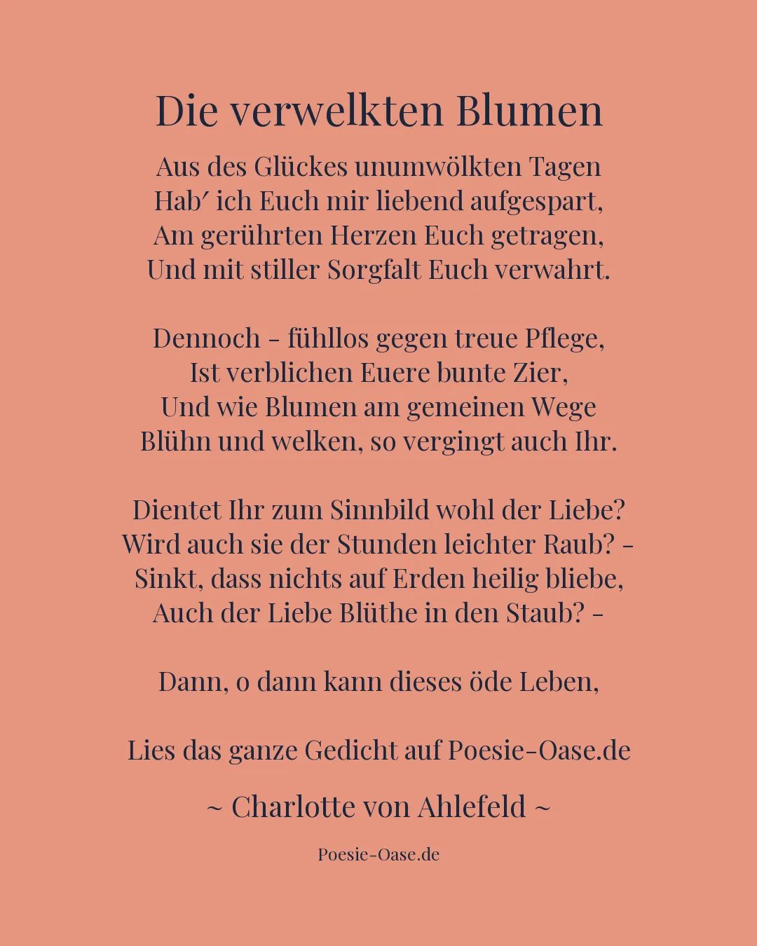 Illustration zu Die verwelkten Blumen