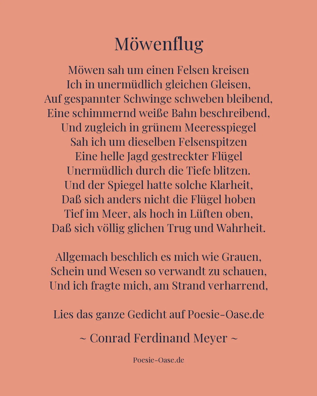 Illustration zu Möwenflug