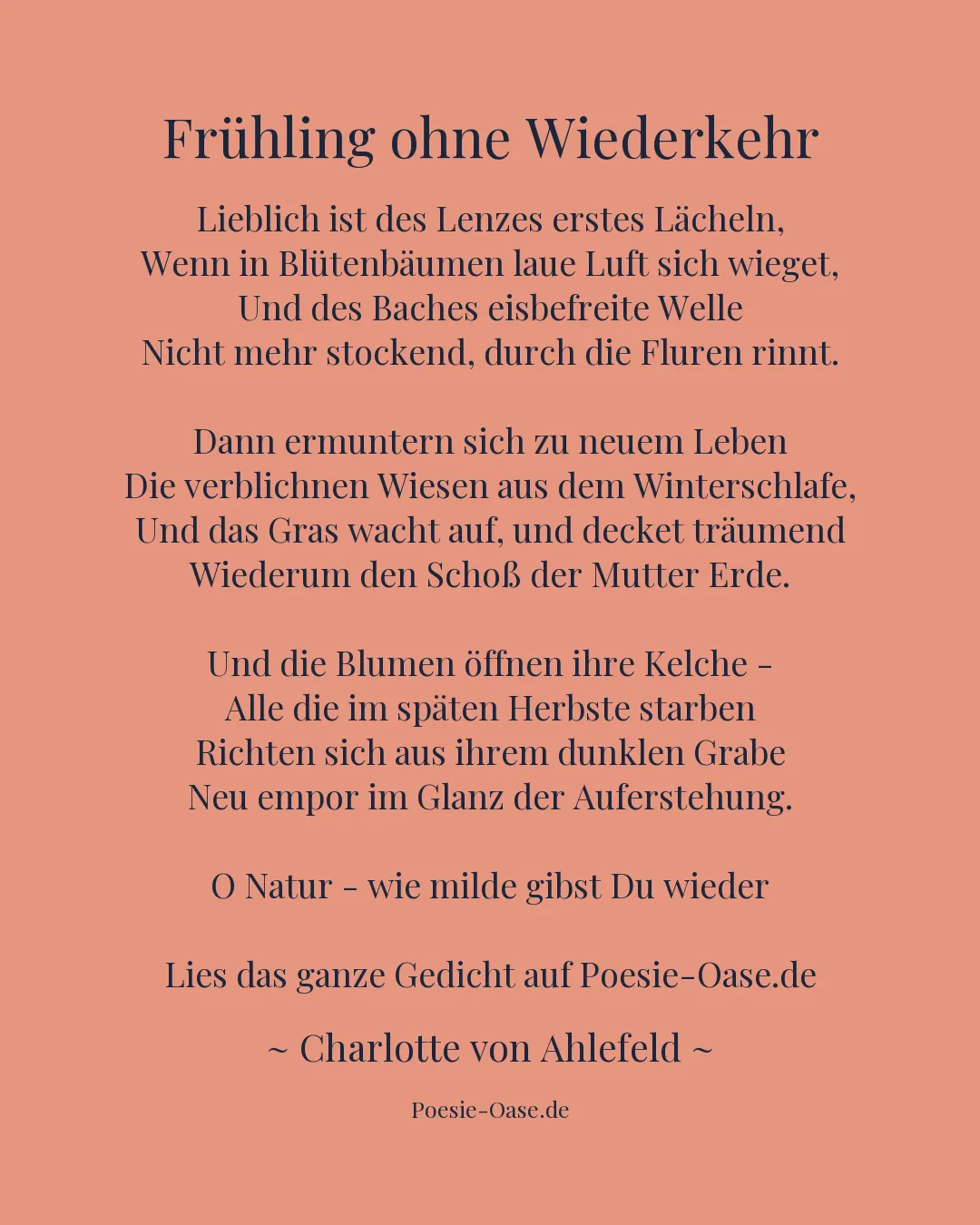 Illustration zu Frühling ohne Wiederkehr