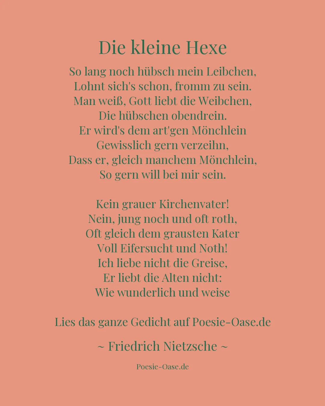 Illustration zu Die kleine Hexe