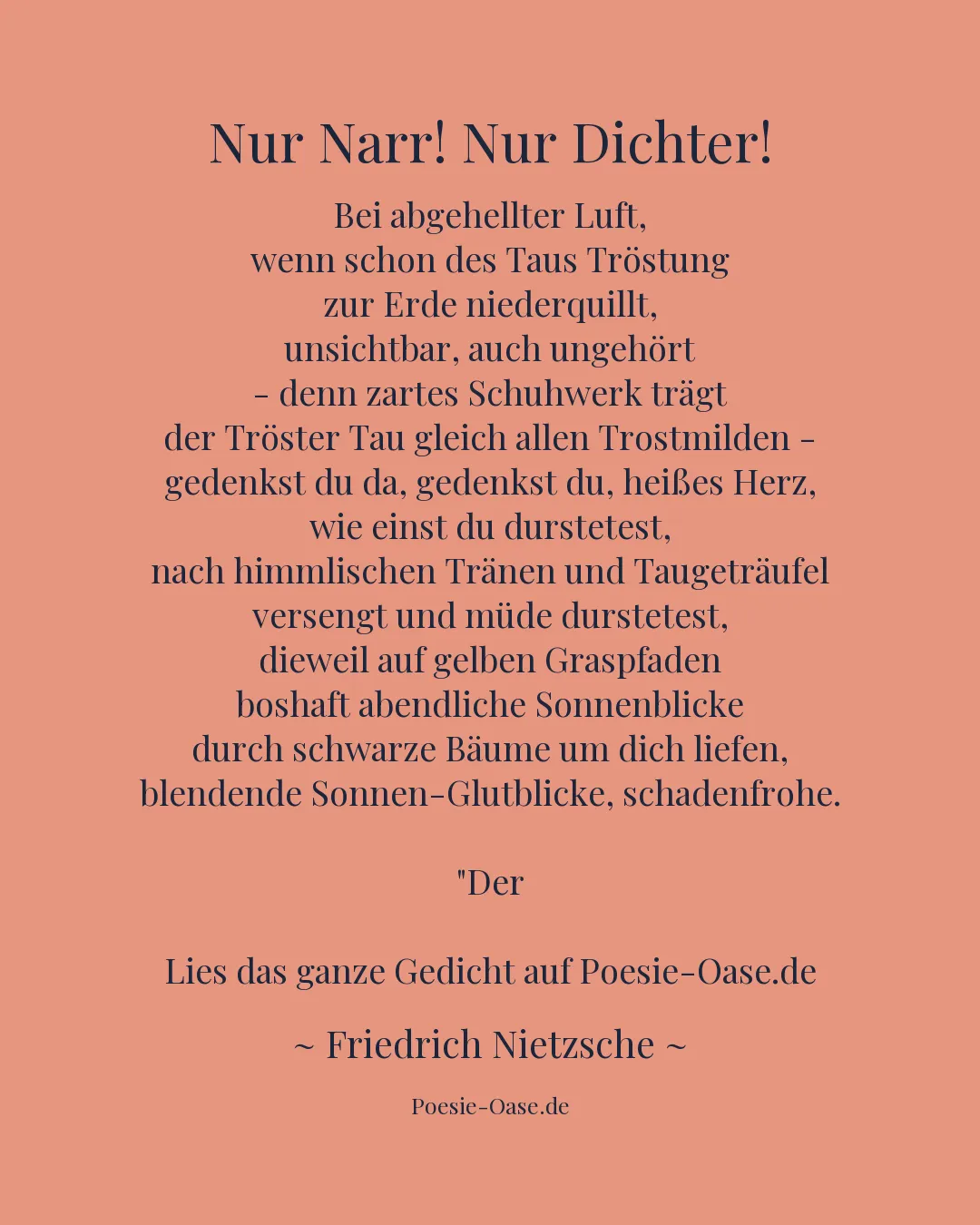 Illustration zu Nur Narr! Nur Dichter!