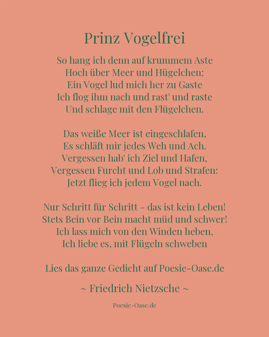 Illustration zu Prinz Vogelfrei