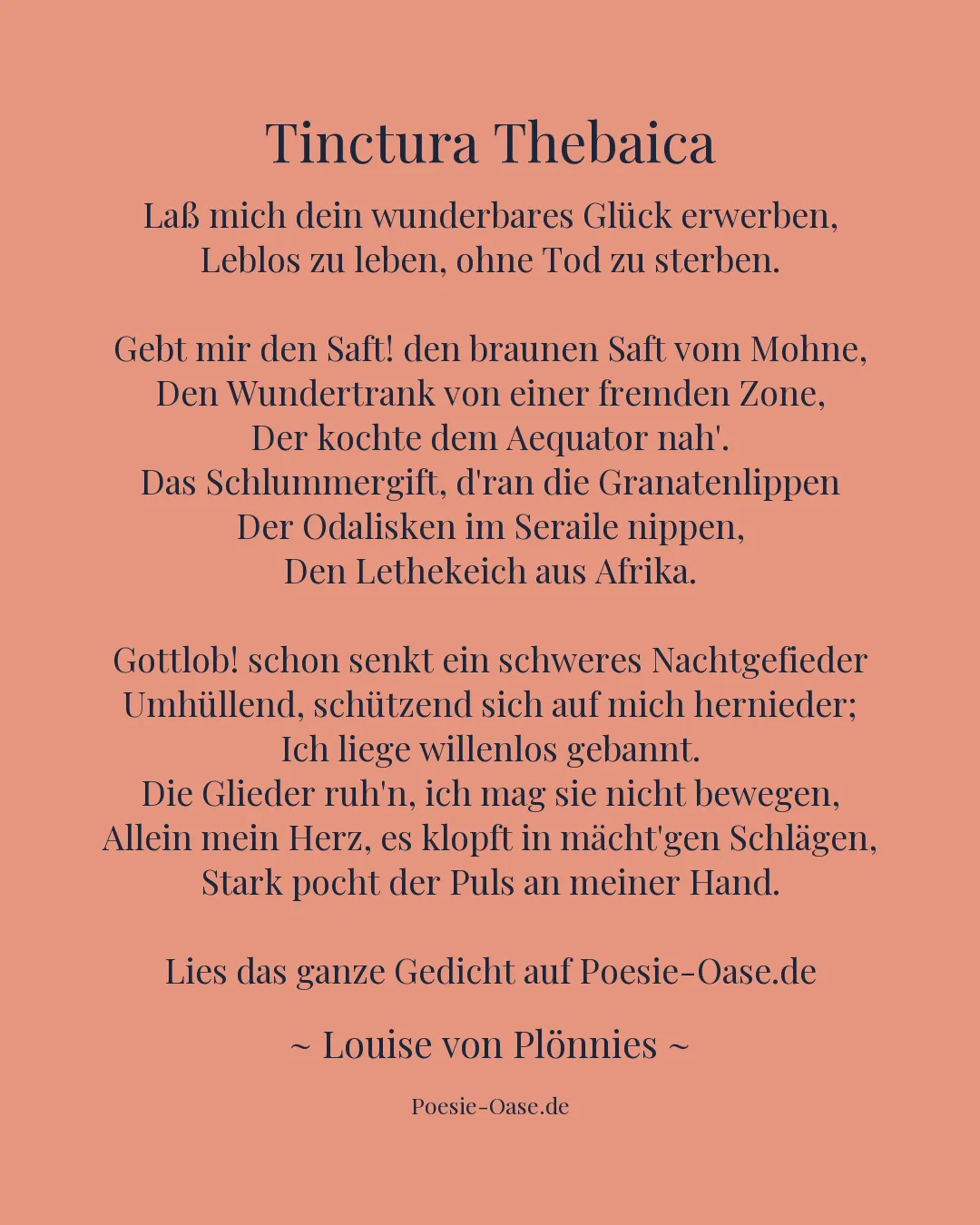 Illustration zu Tinctura Thebaica