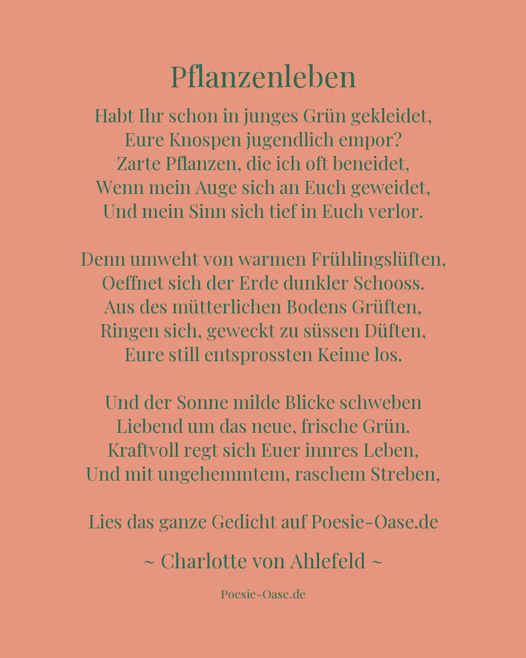 Illustration zu Pflanzenleben