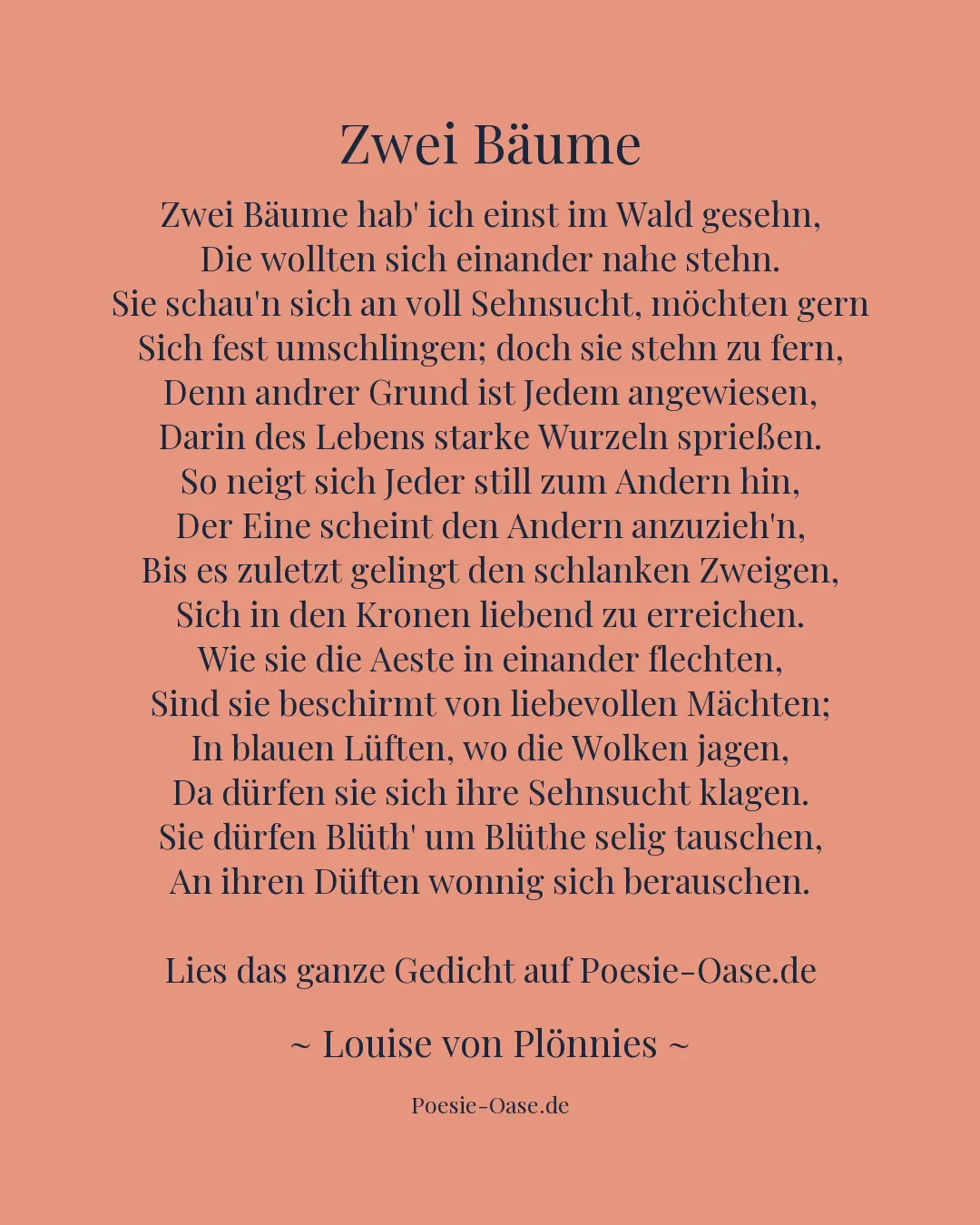 Illustration zu Zwei Bäume