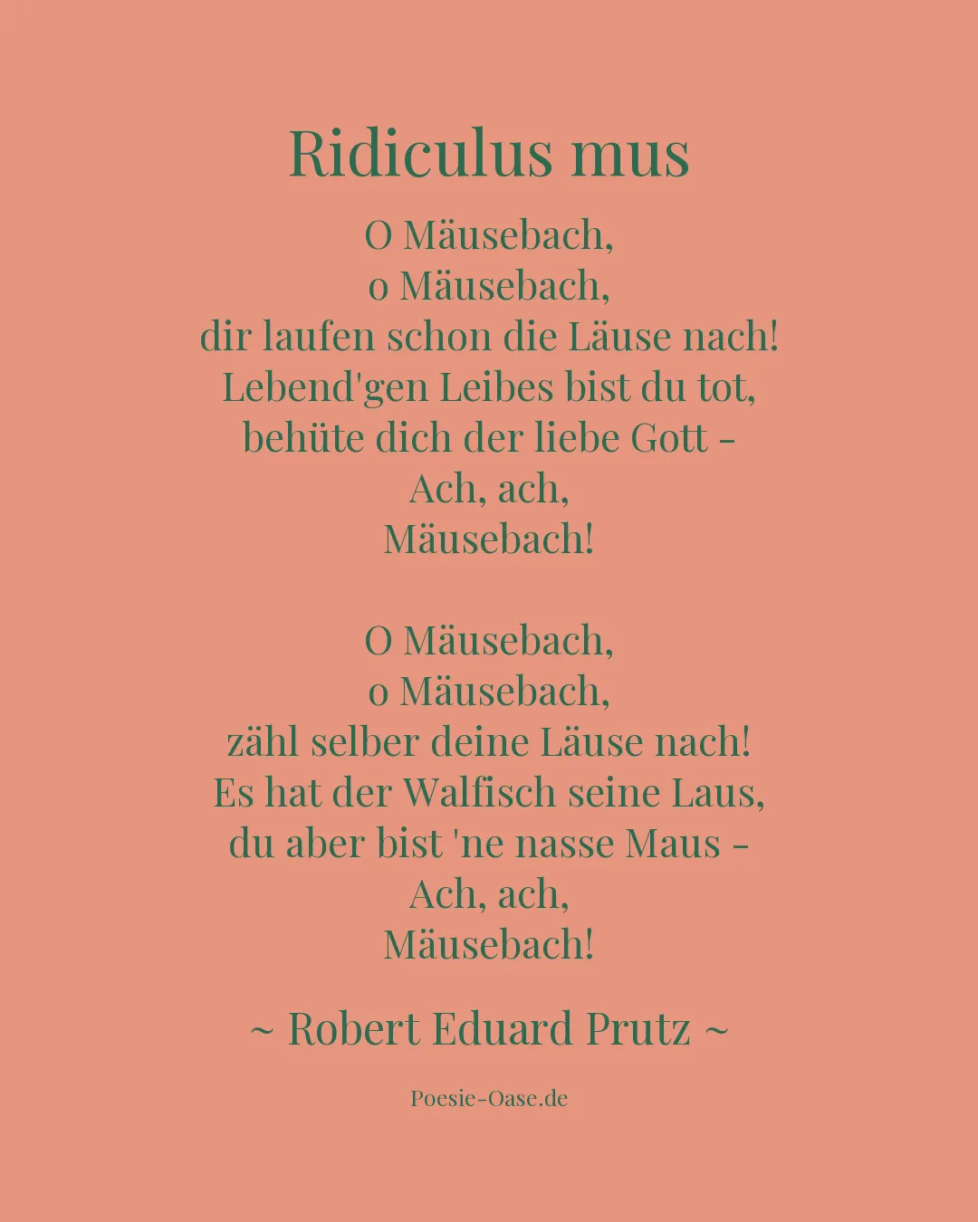 Illustration zu Ridiculus mus