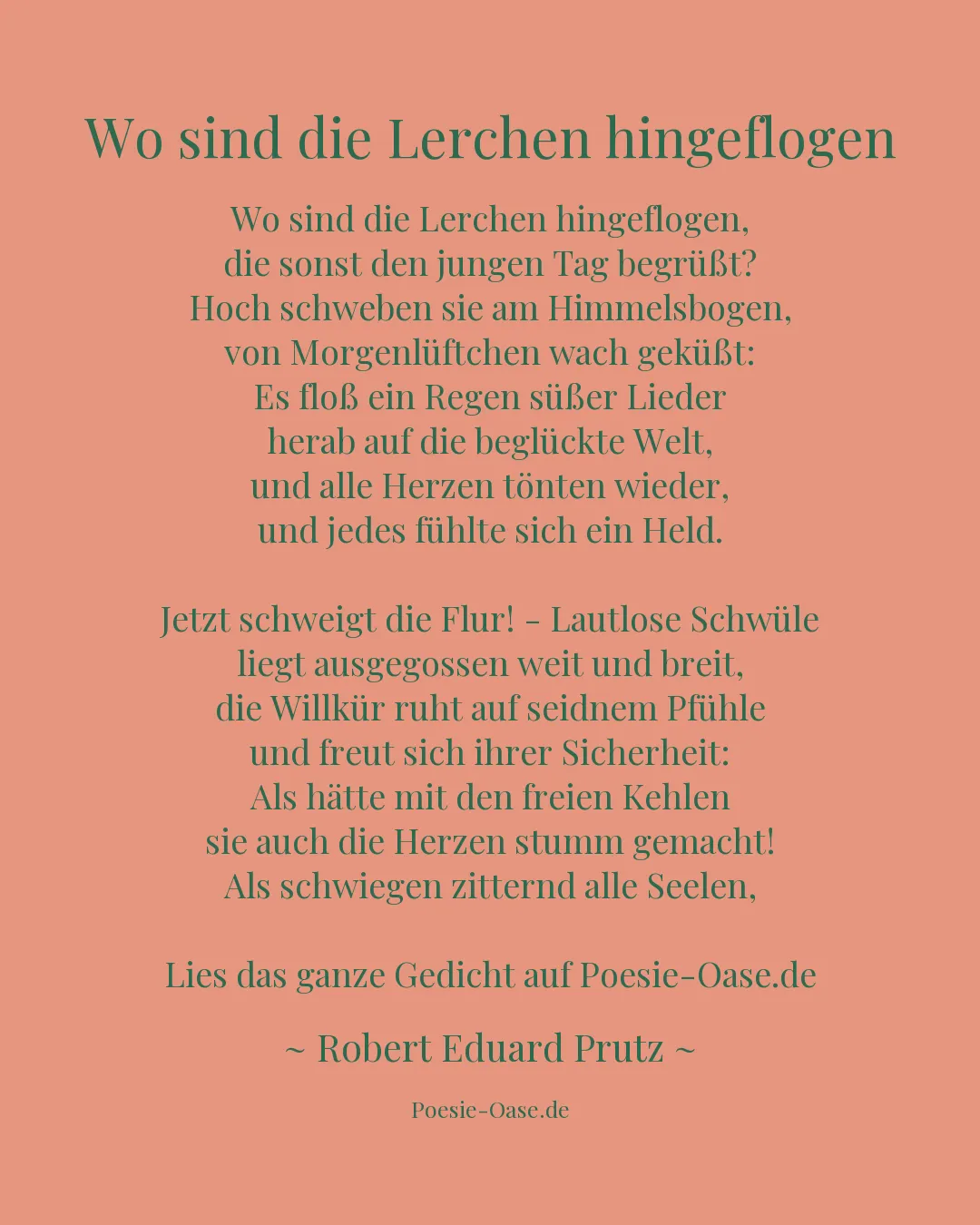 Illustration zu Wo sind die Lerchen hingeflogen