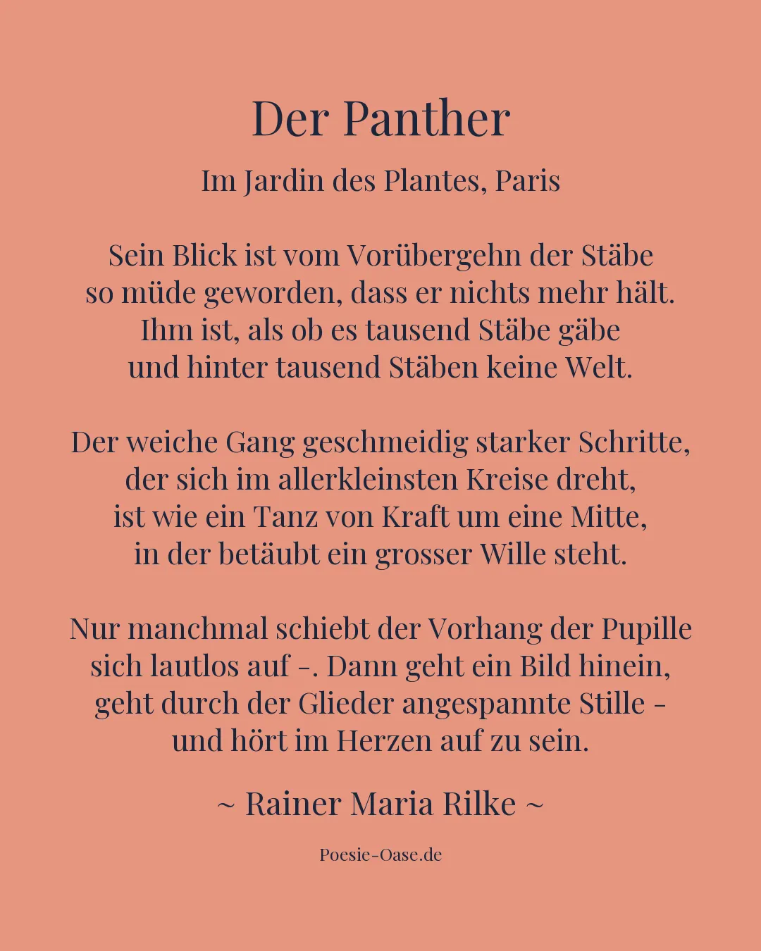 Illustration zu Der Panther
