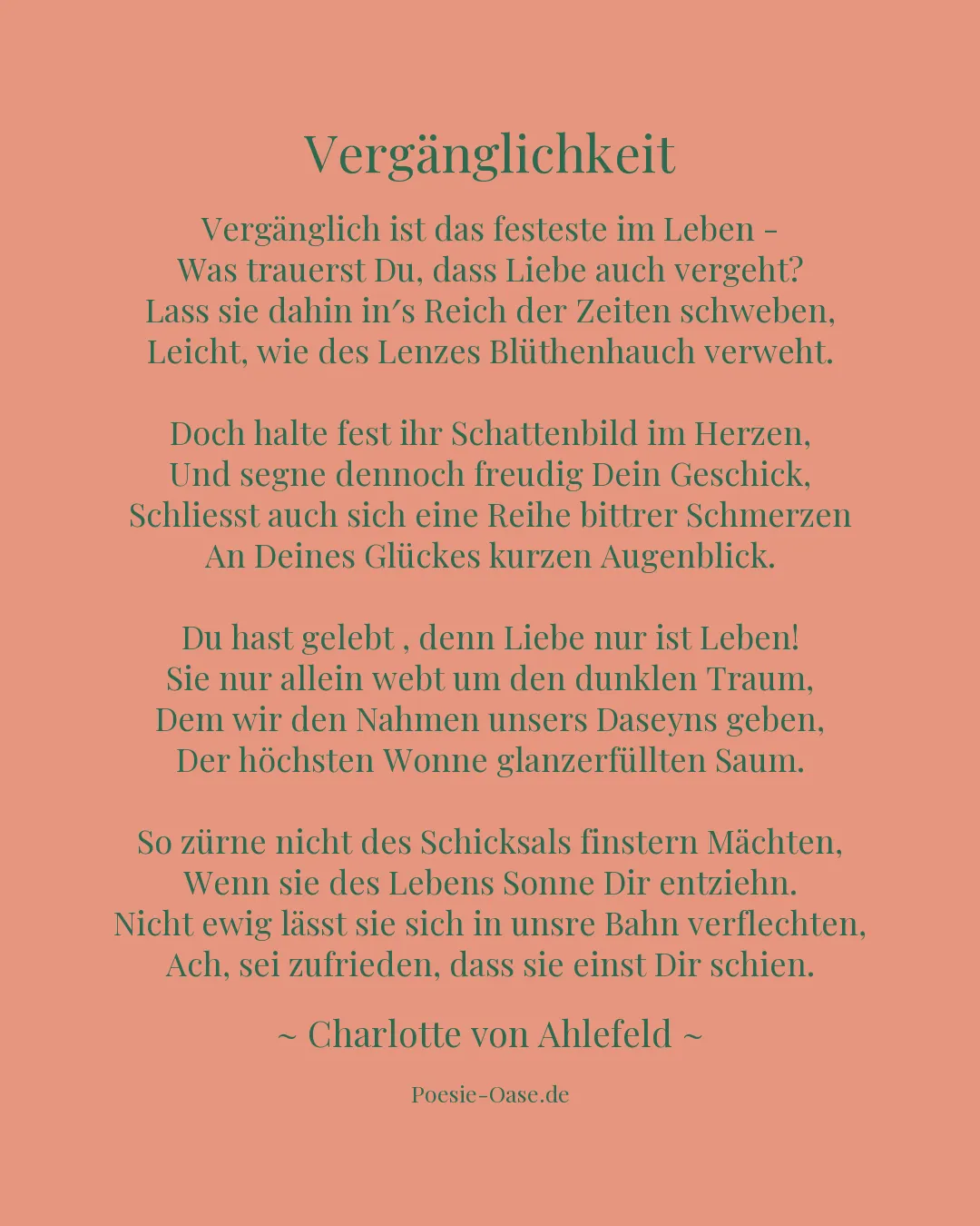 Illustration zu Vergänglichkeit