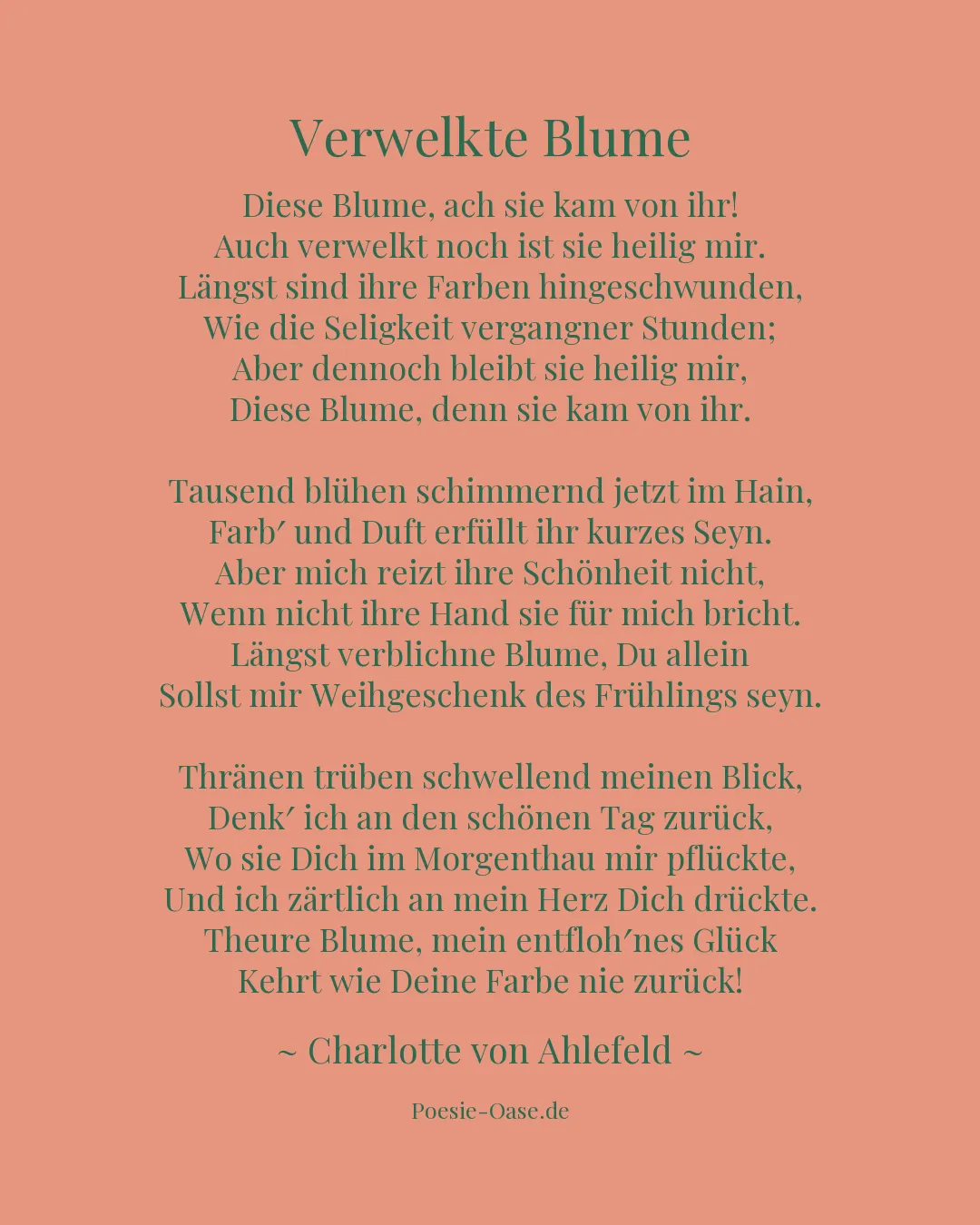 Illustration zu Verwelkte Blume