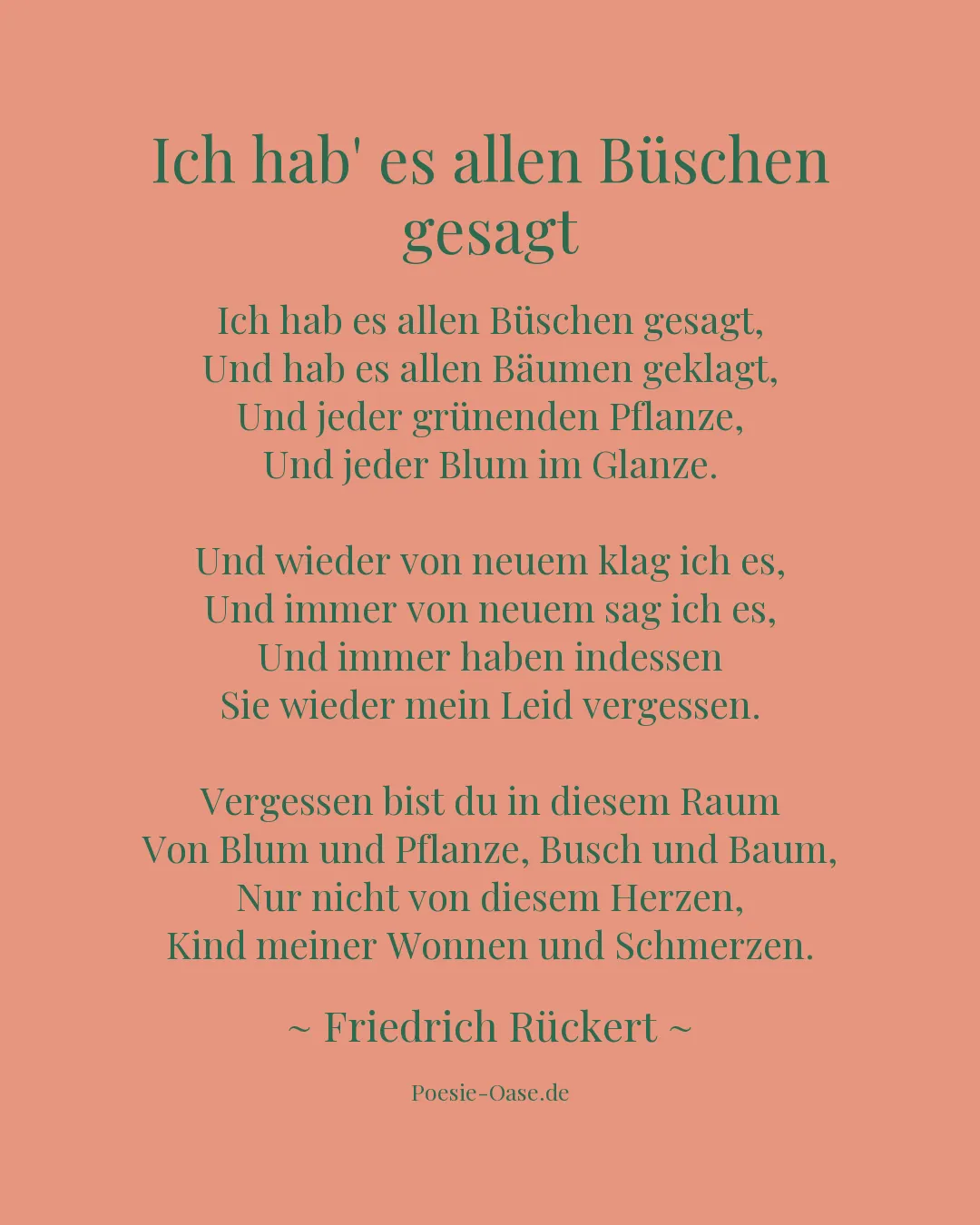 Illustration zu Ich hab' es allen Büschen gesagt