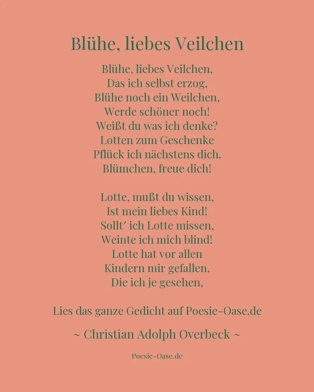 Illustration zu Blühe, liebes Veilchen