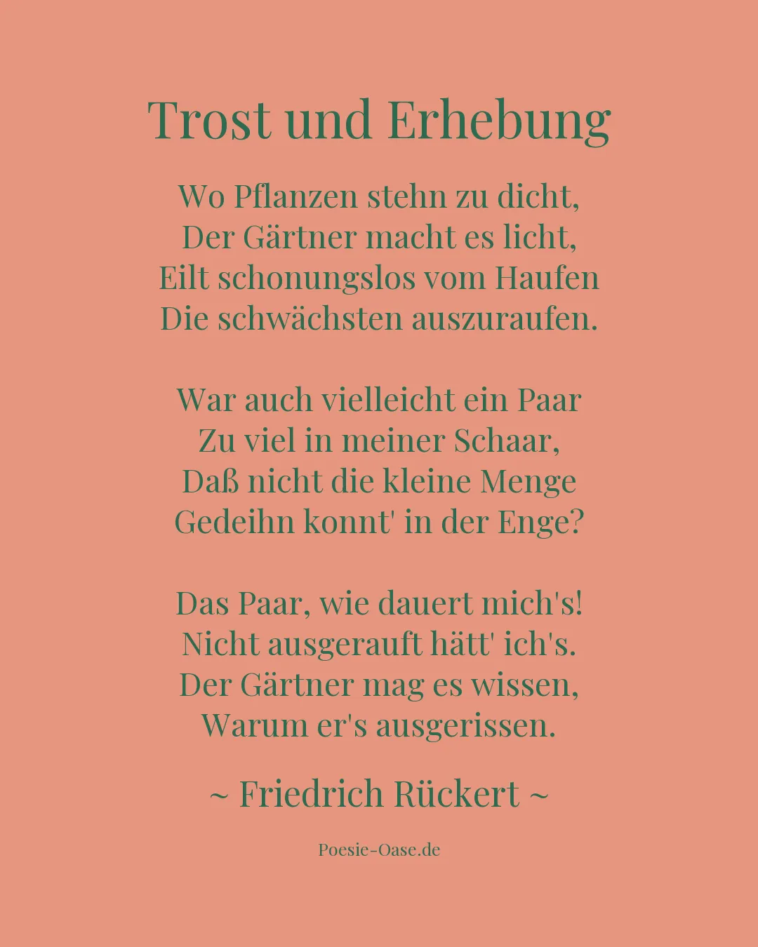 Illustration zu Trost und Erhebung