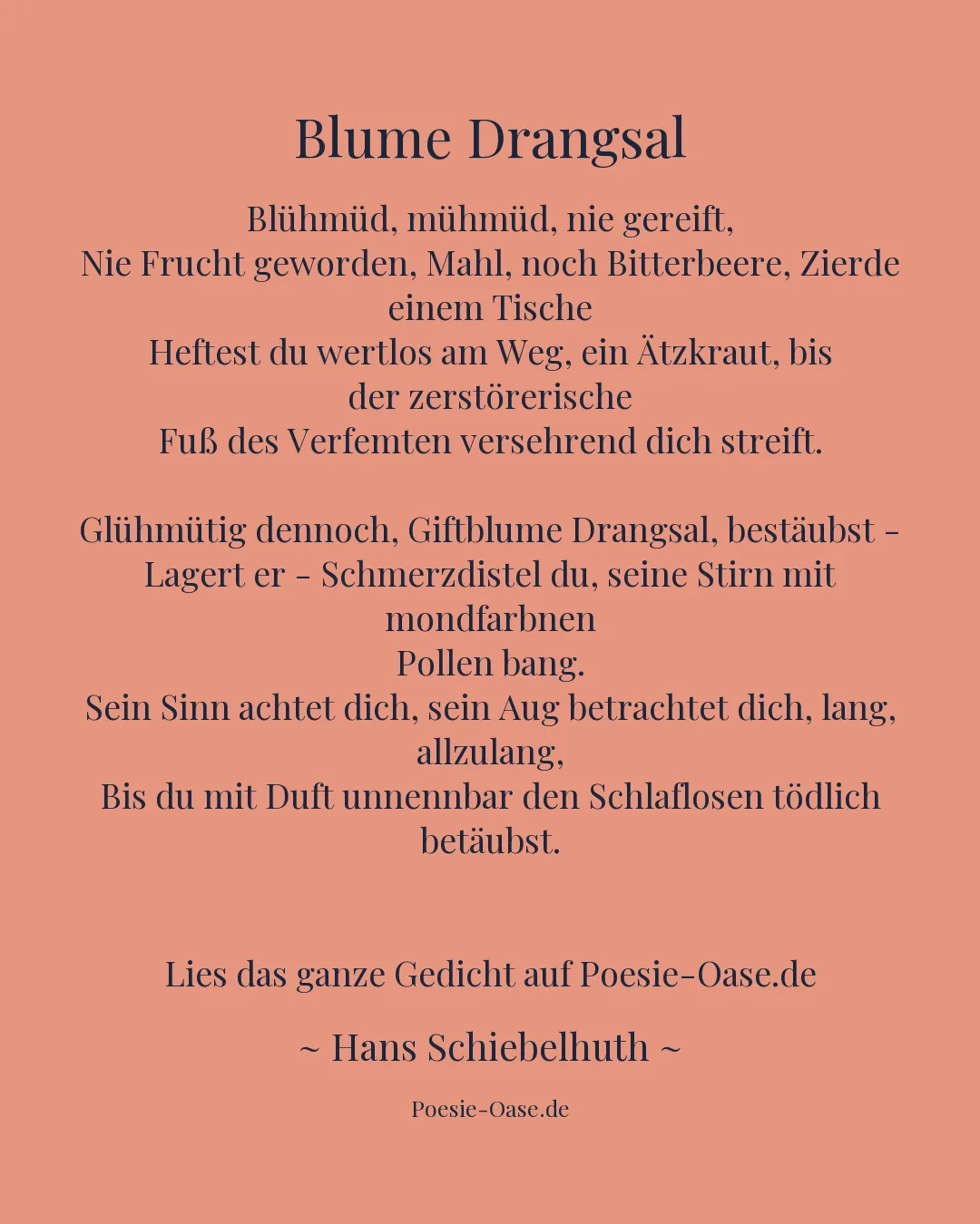 Illustration zu Blume Drangsal