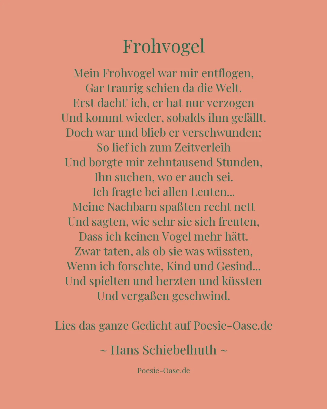 Illustration zu Frohvogel