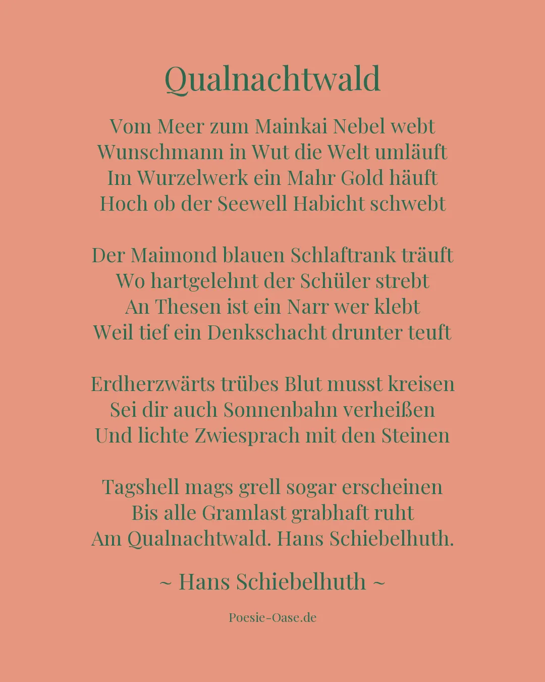 Illustration zu Qualnachtwald
