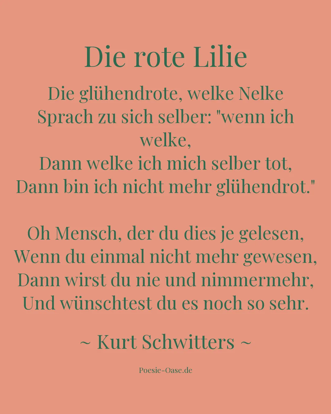 Illustration zu Die rote Lilie