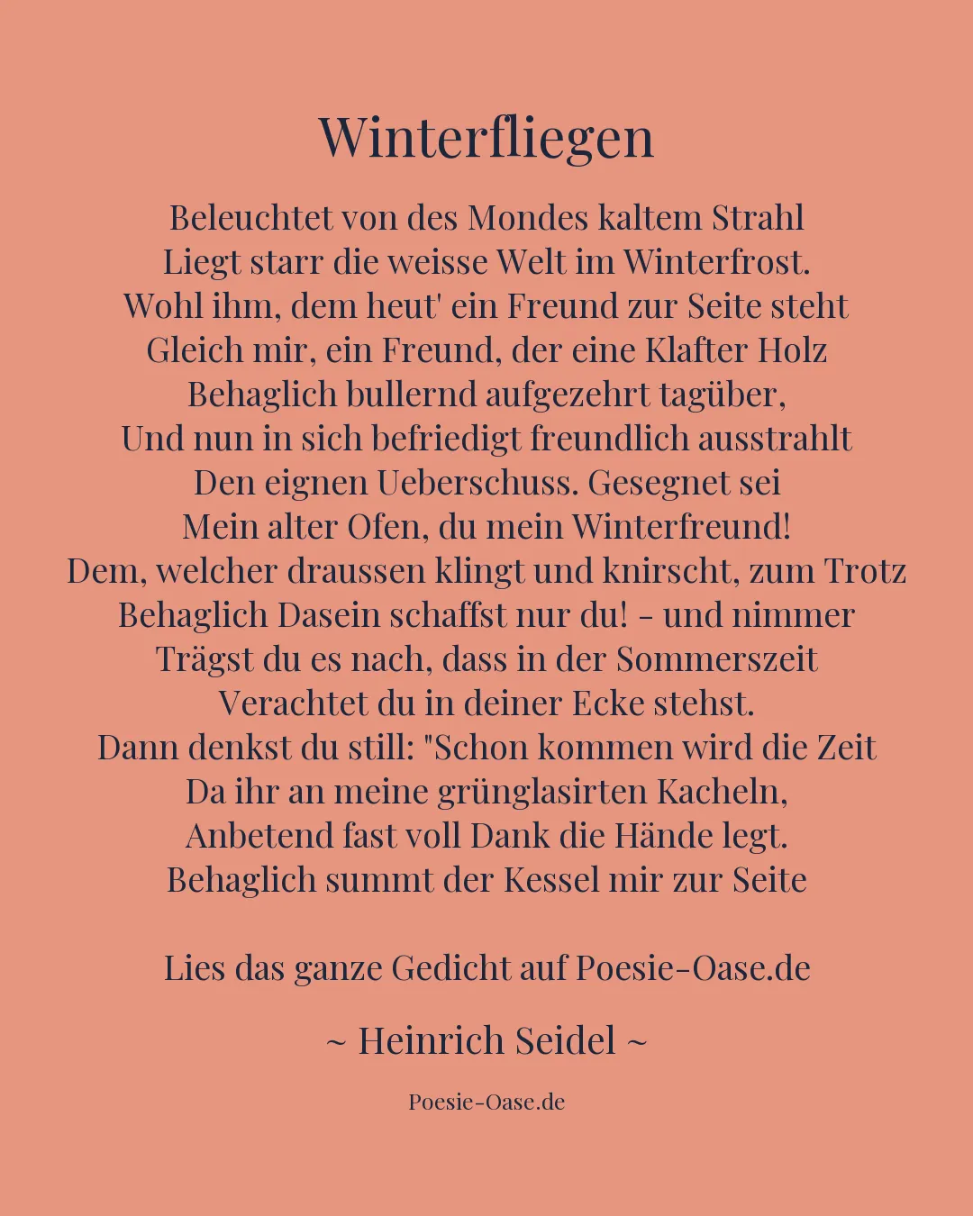 Illustration zu Winterfliegen