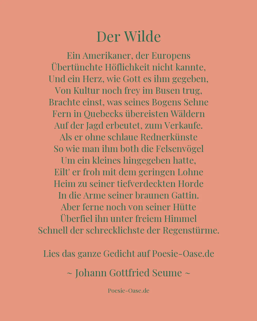 Illustration zu Der Wilde
