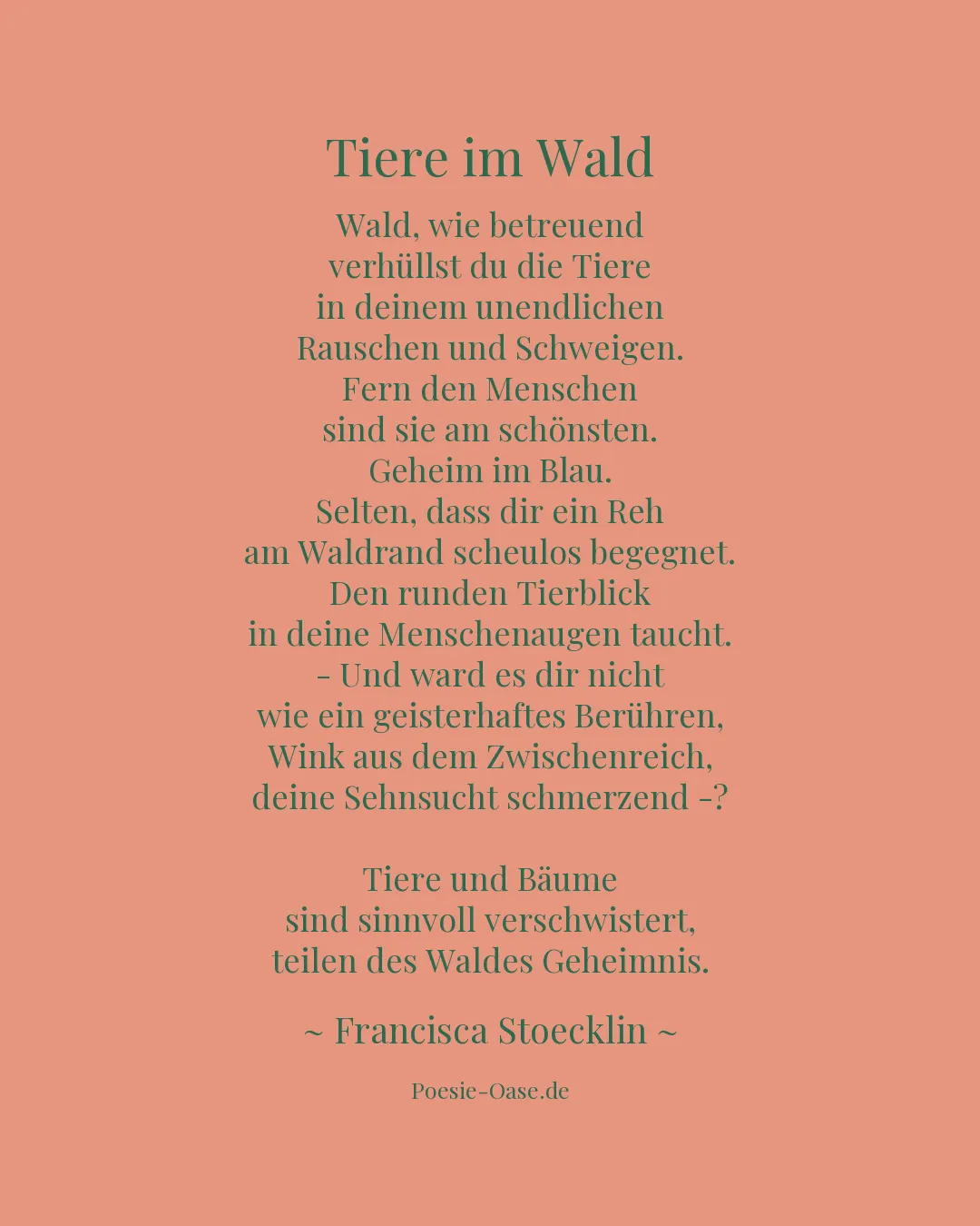 Illustration zu Tiere im Wald
